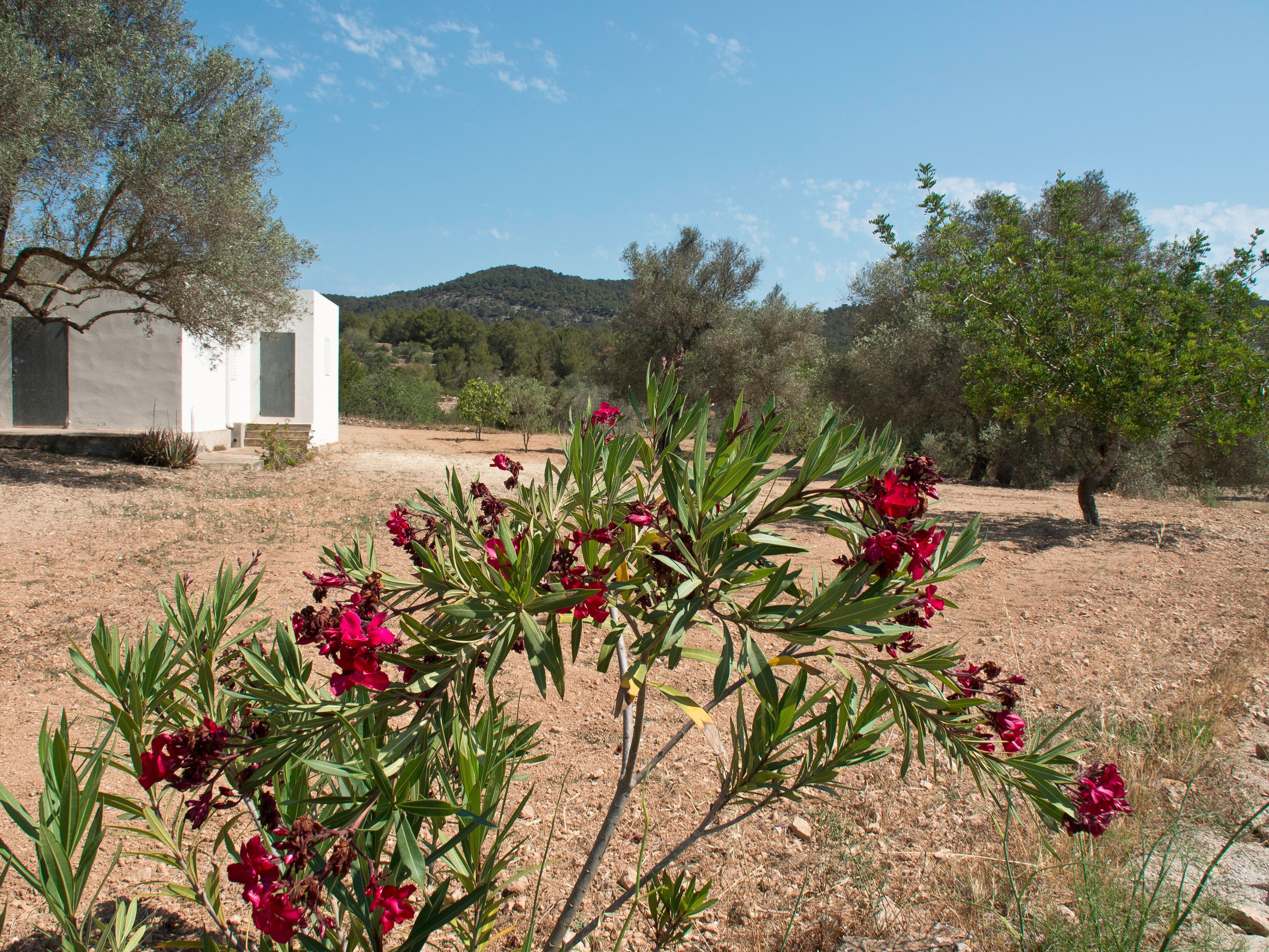 ibiza eco-home