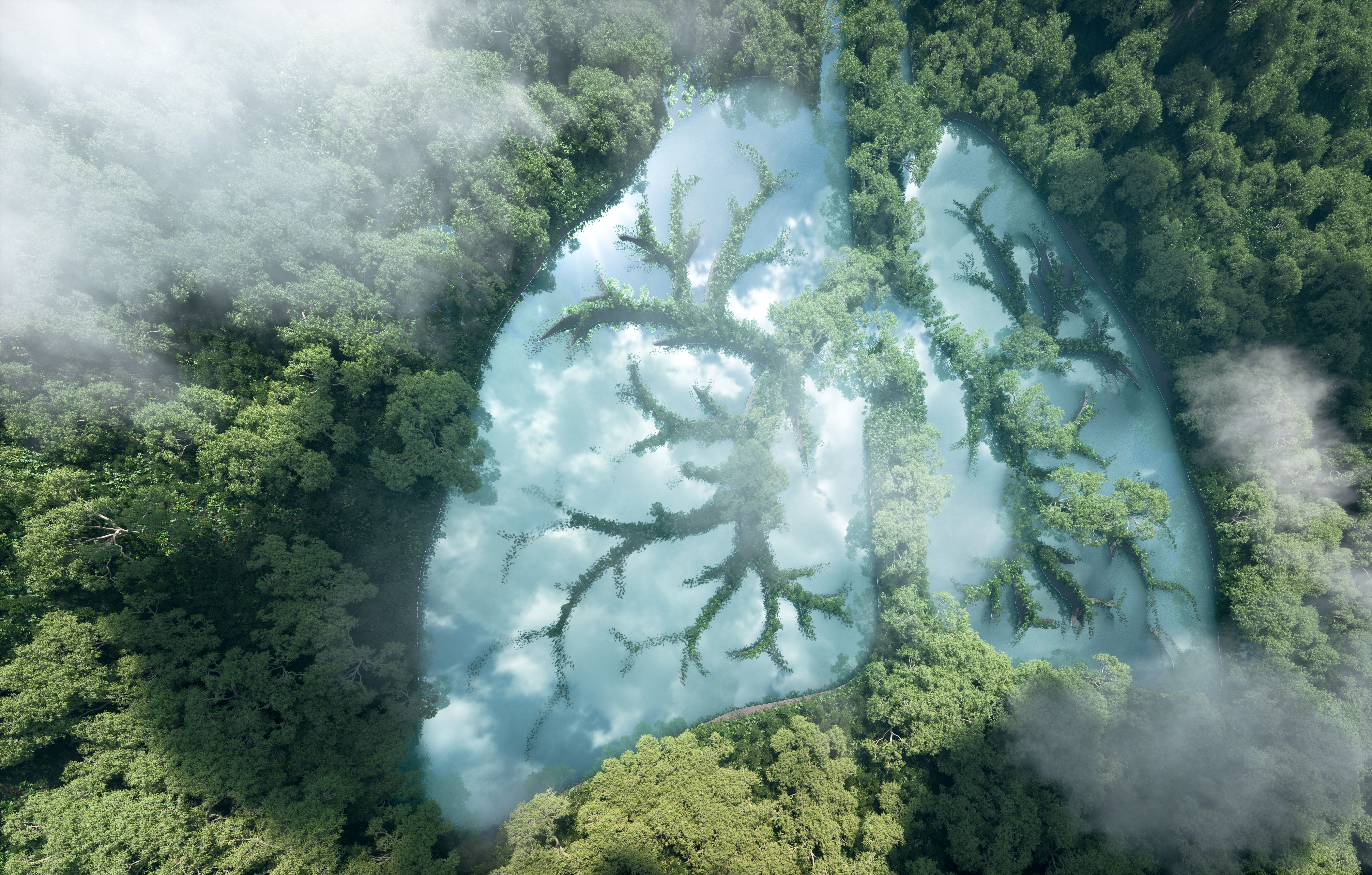sustainability nature
