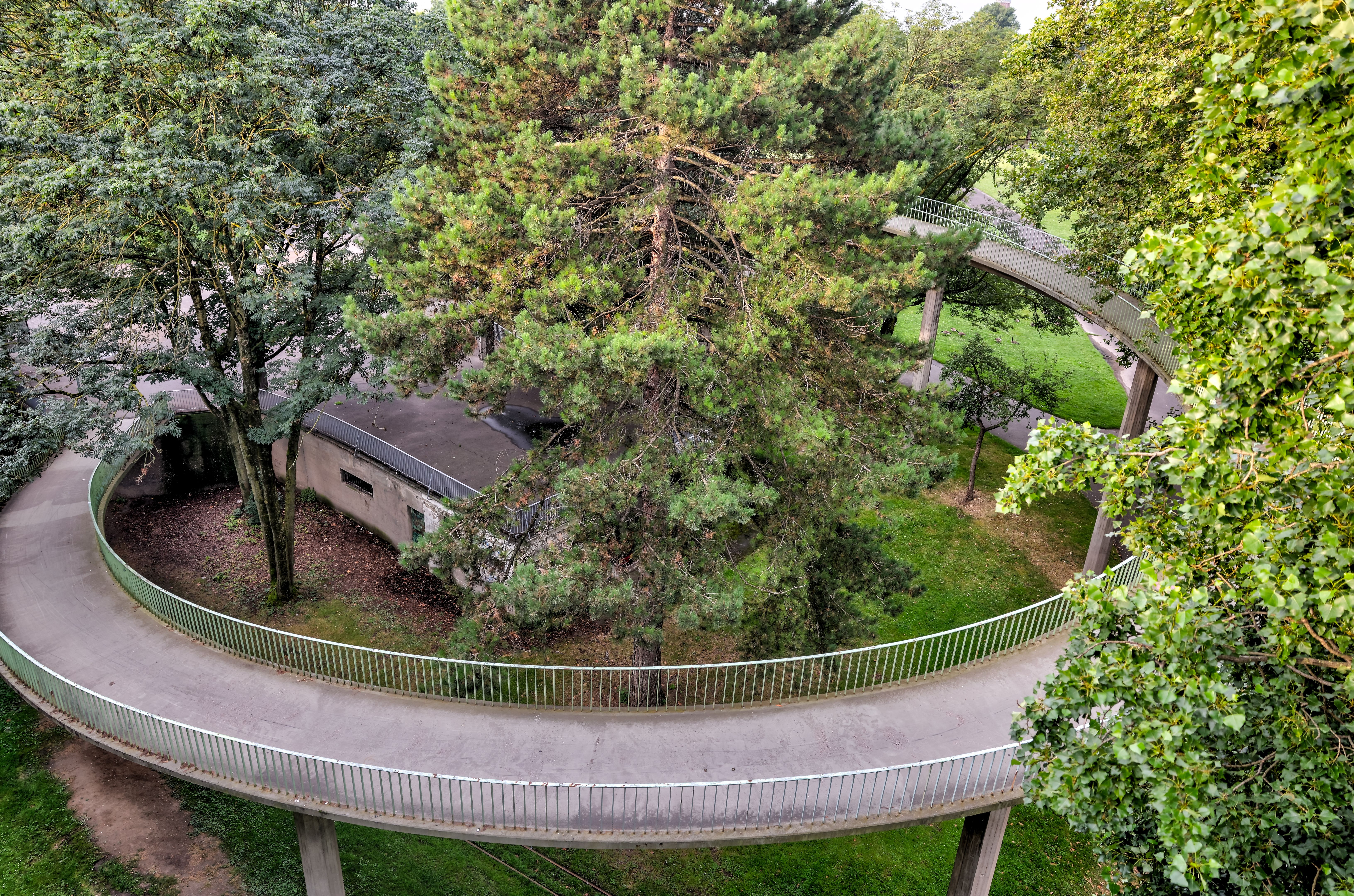 cologne park