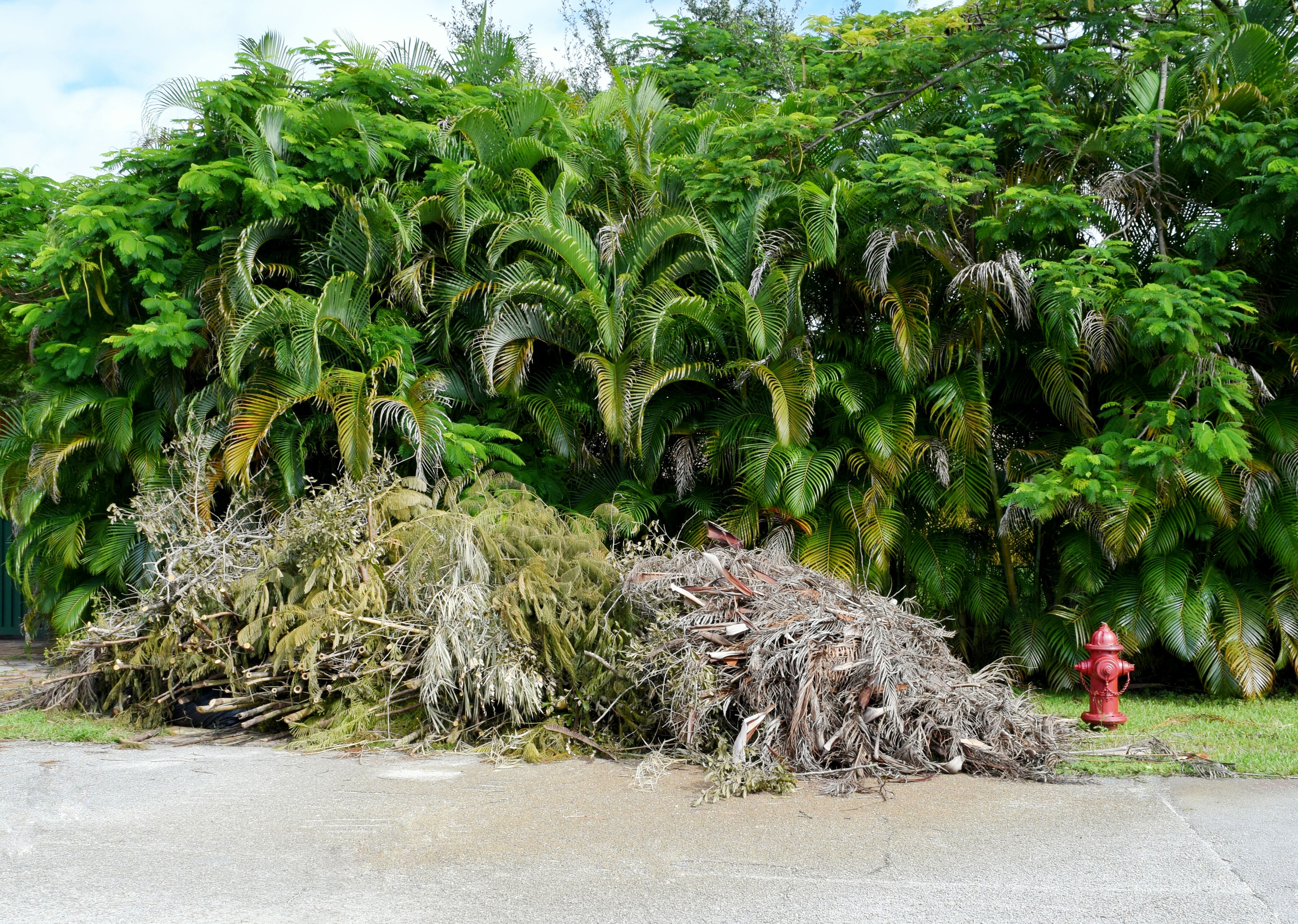 waste management West Palm Beach