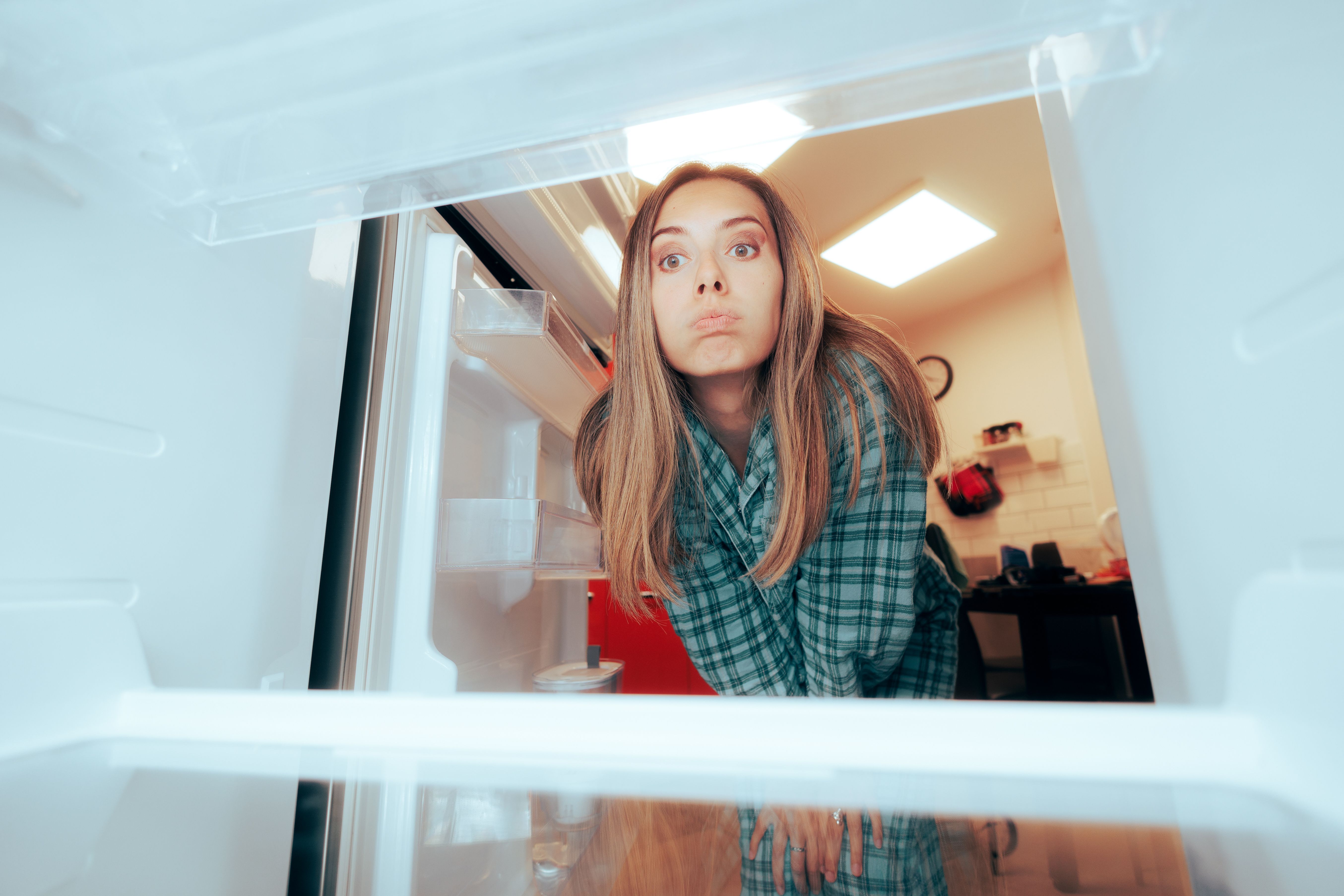 future refrigeration