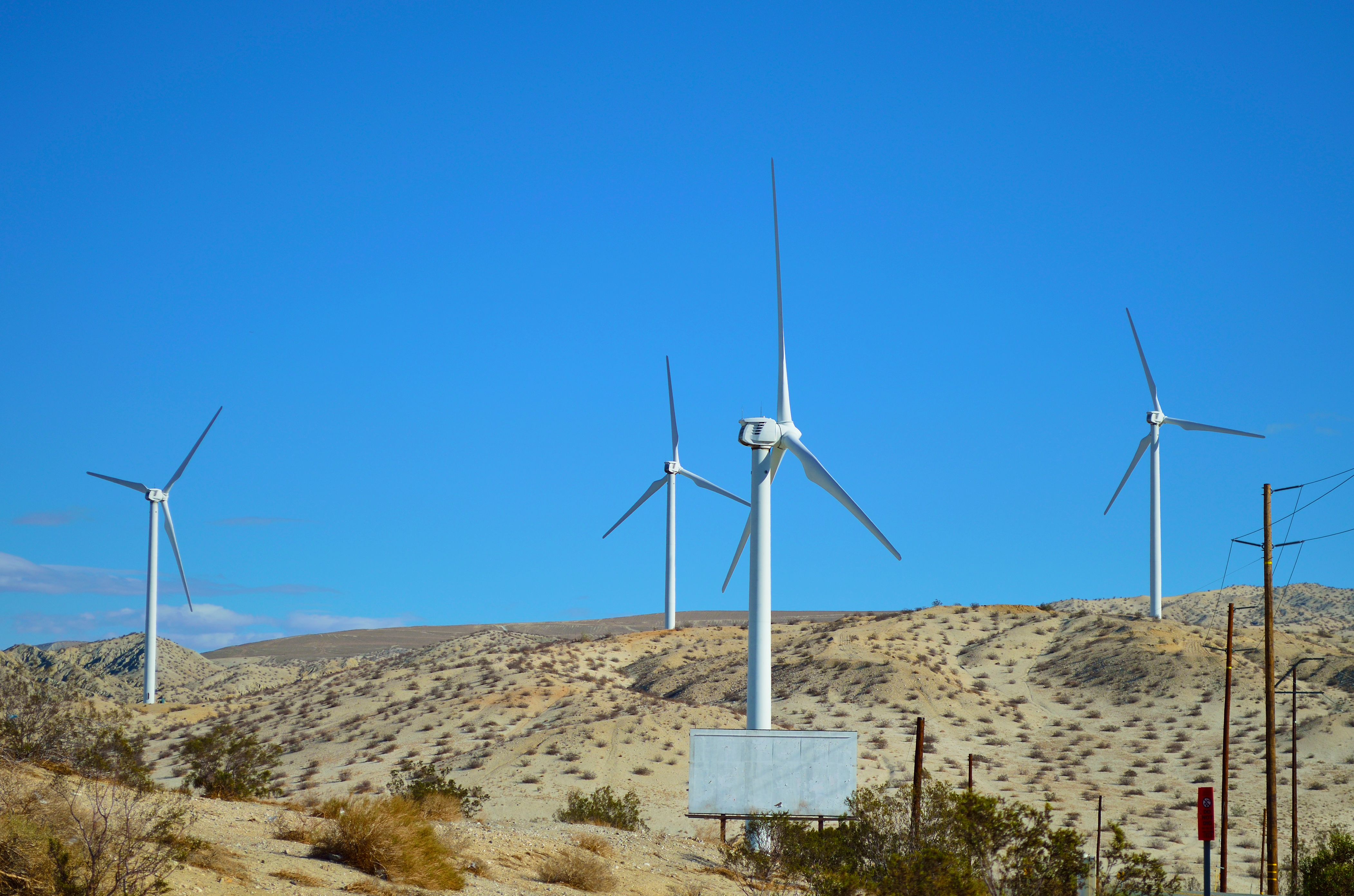 palm desert businesses