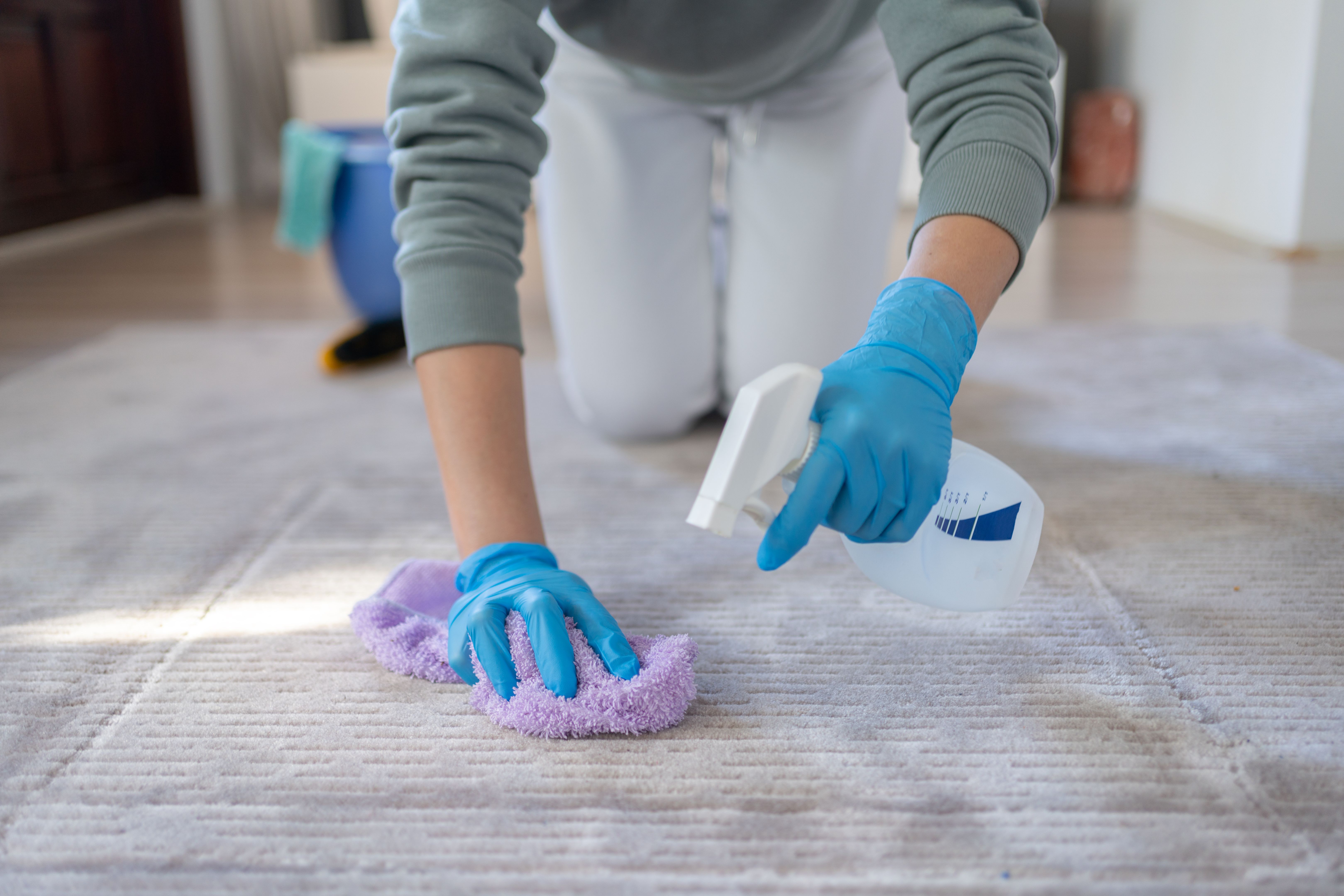 carpet cleaning process