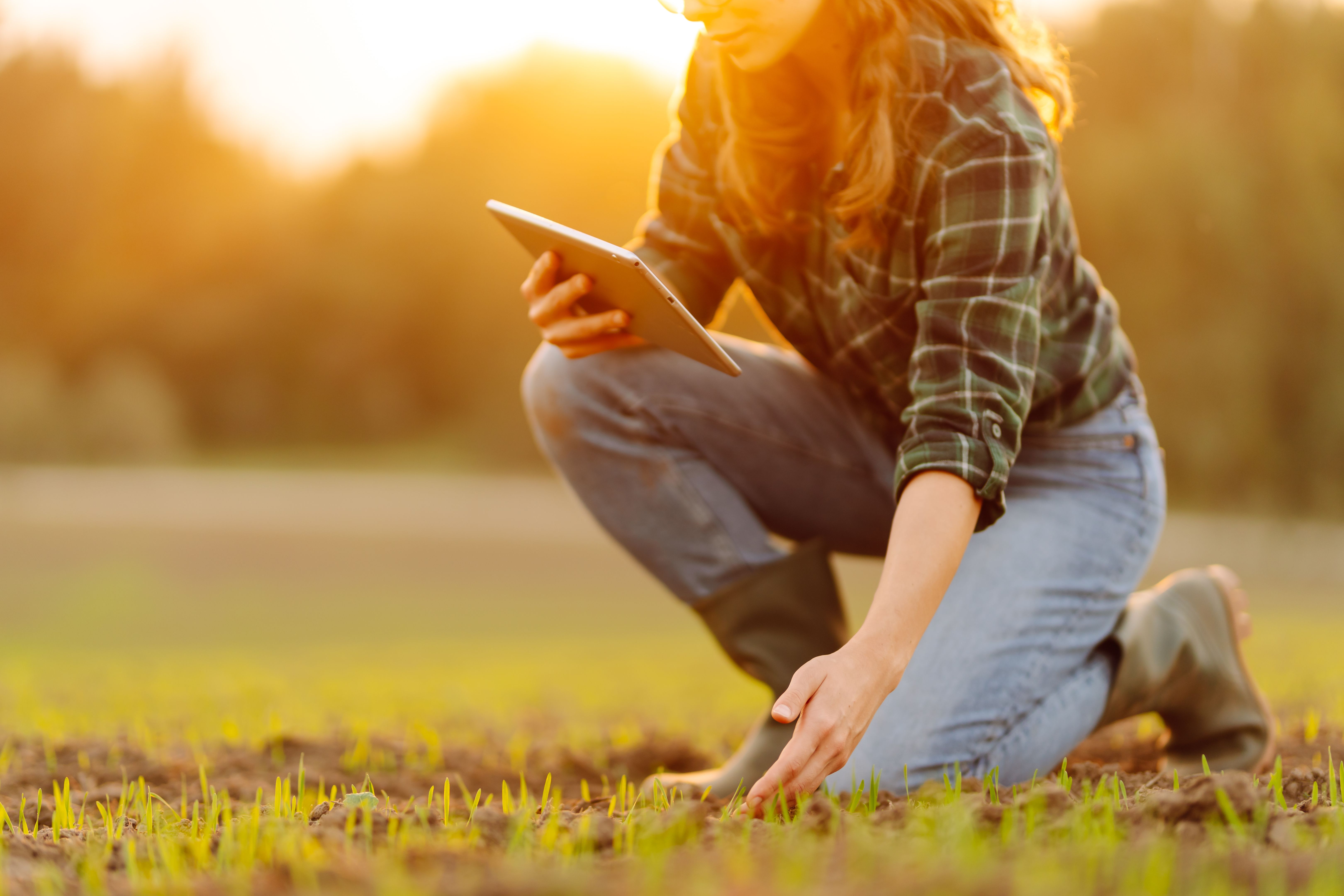agriculture planning
