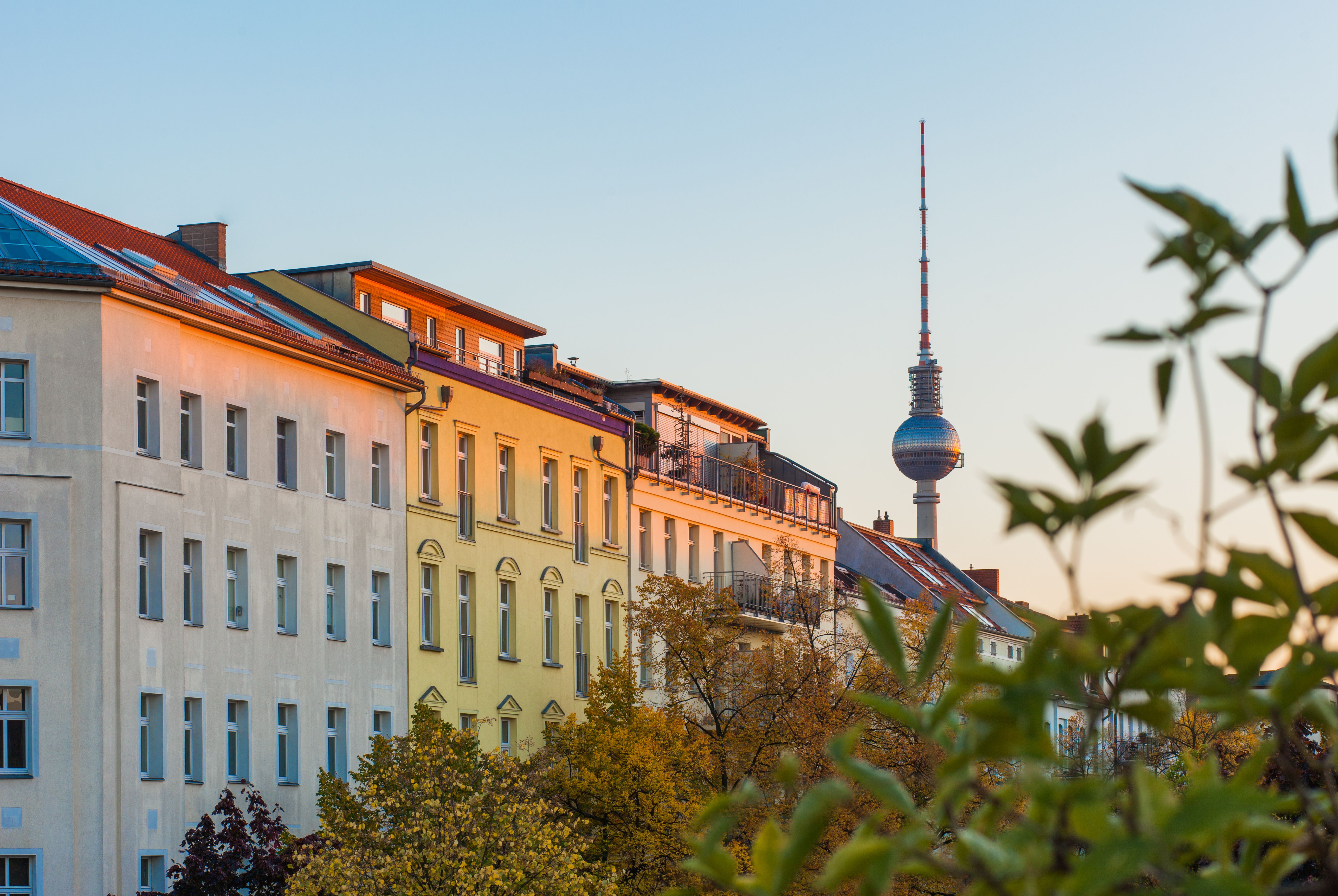 berlin real estate