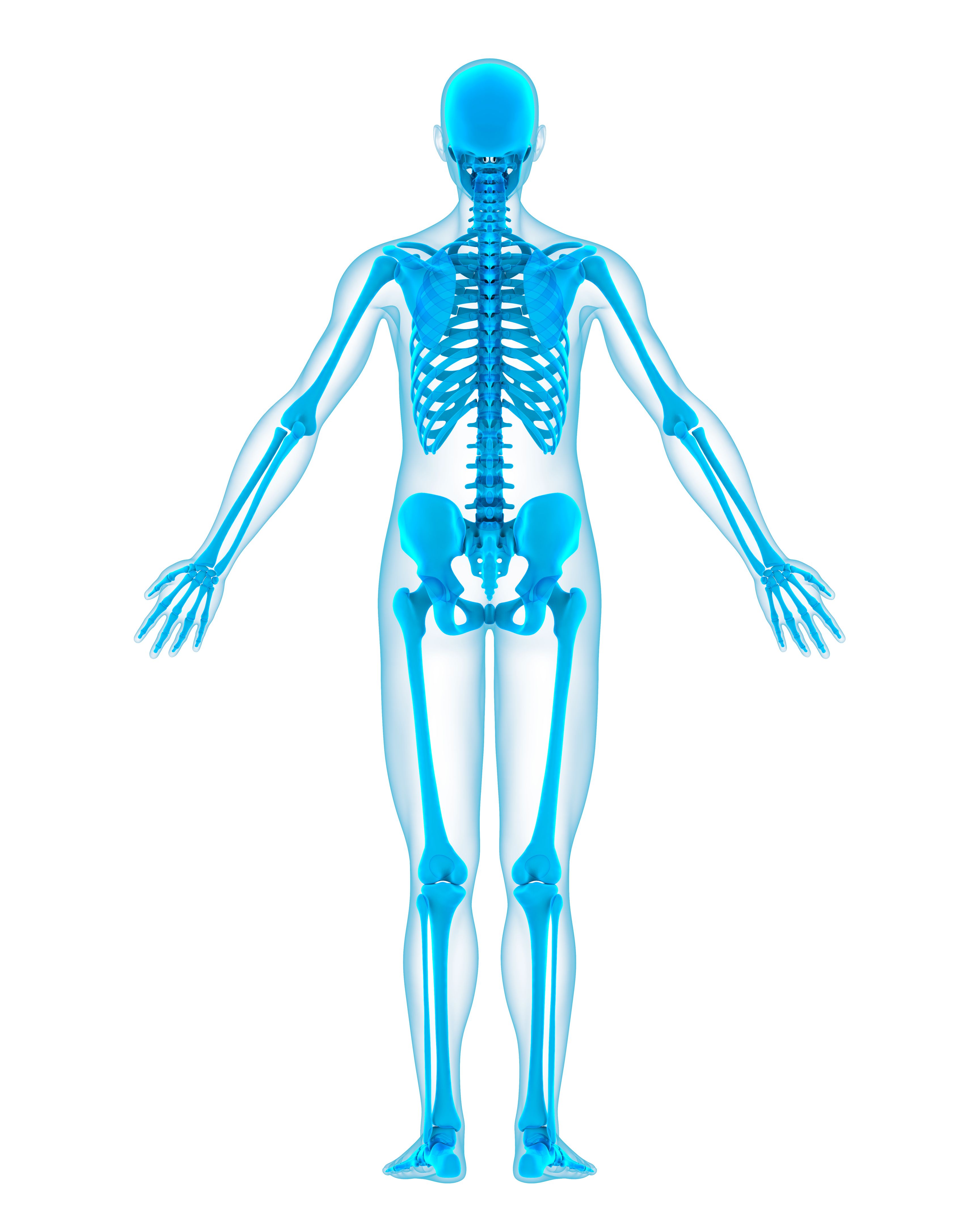 articulações do corpo
