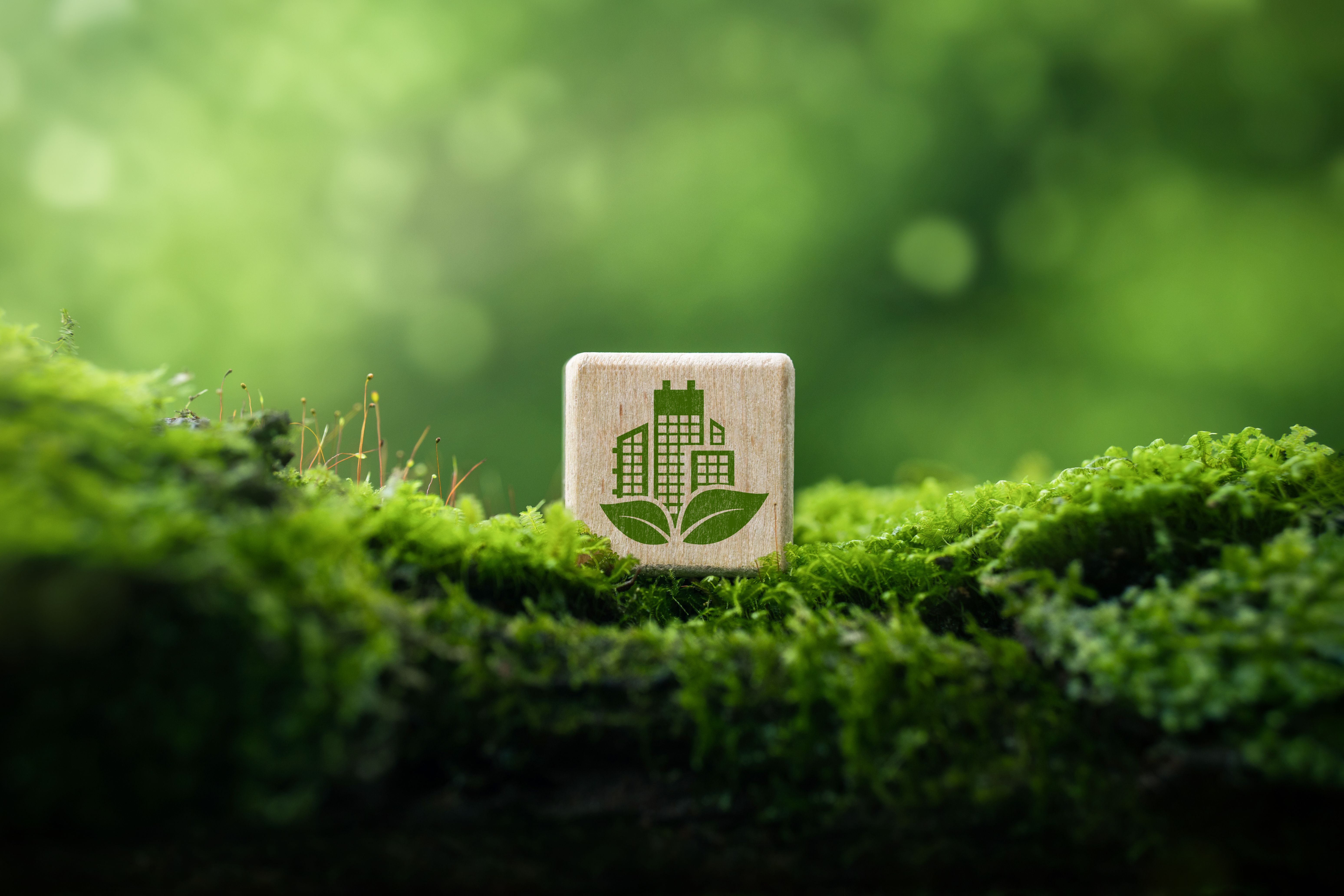 sustainable green building environmentally friendly buildings Future green business idea Environmental sustainability goals in 2050. Green building shape on wooden blocks amidst pure nature