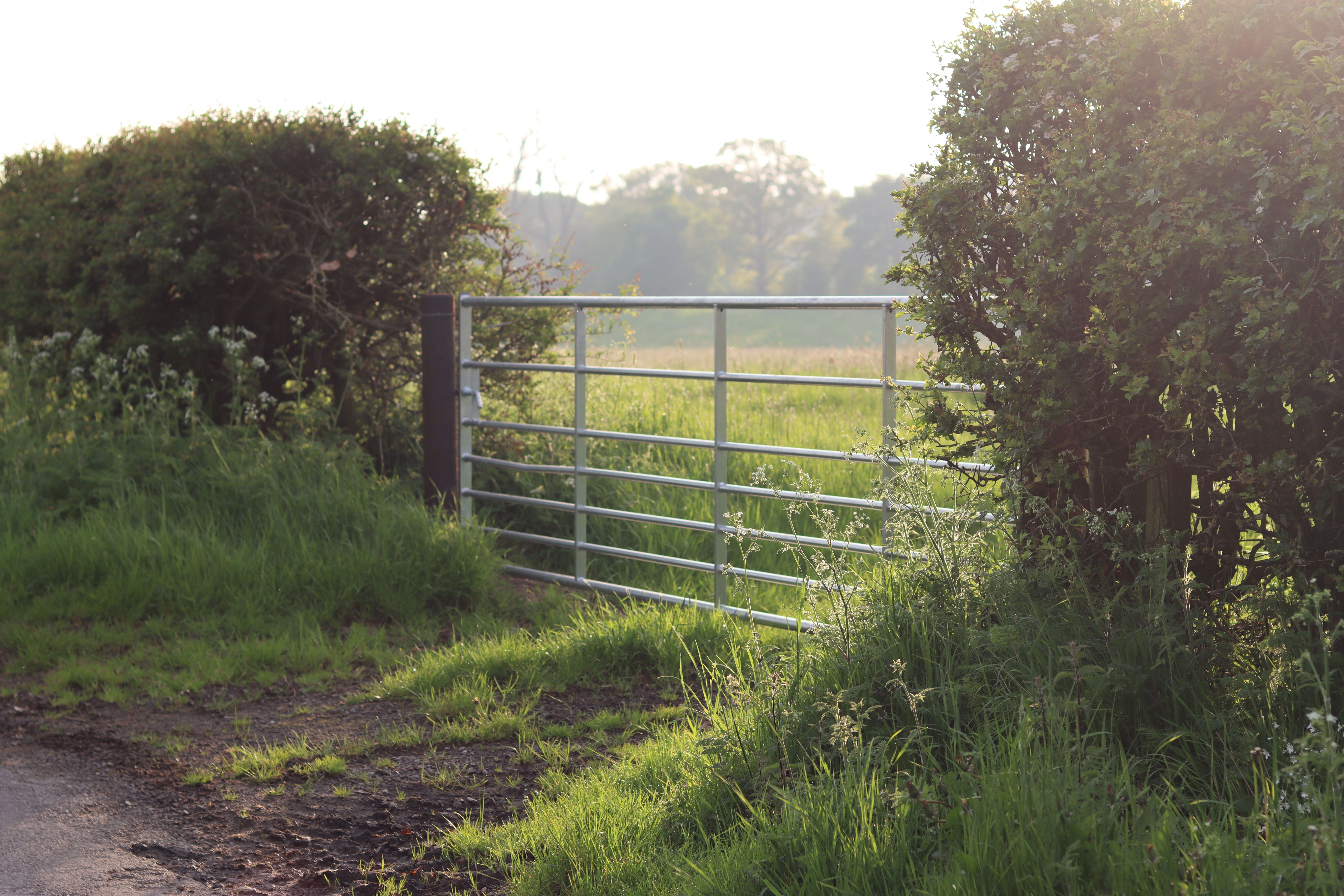 Morning sunlight shining through a countryside field gate