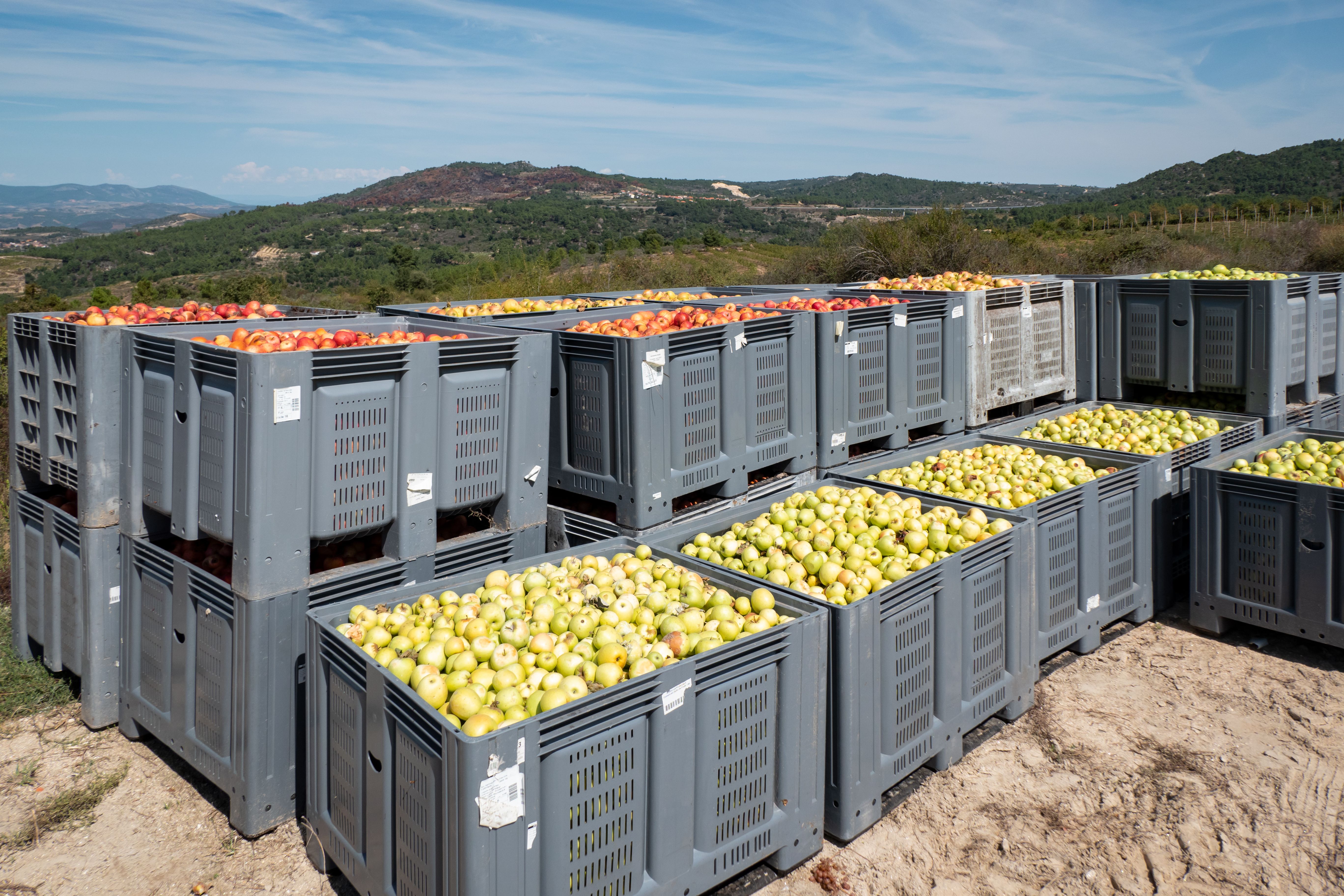 transporte logístico