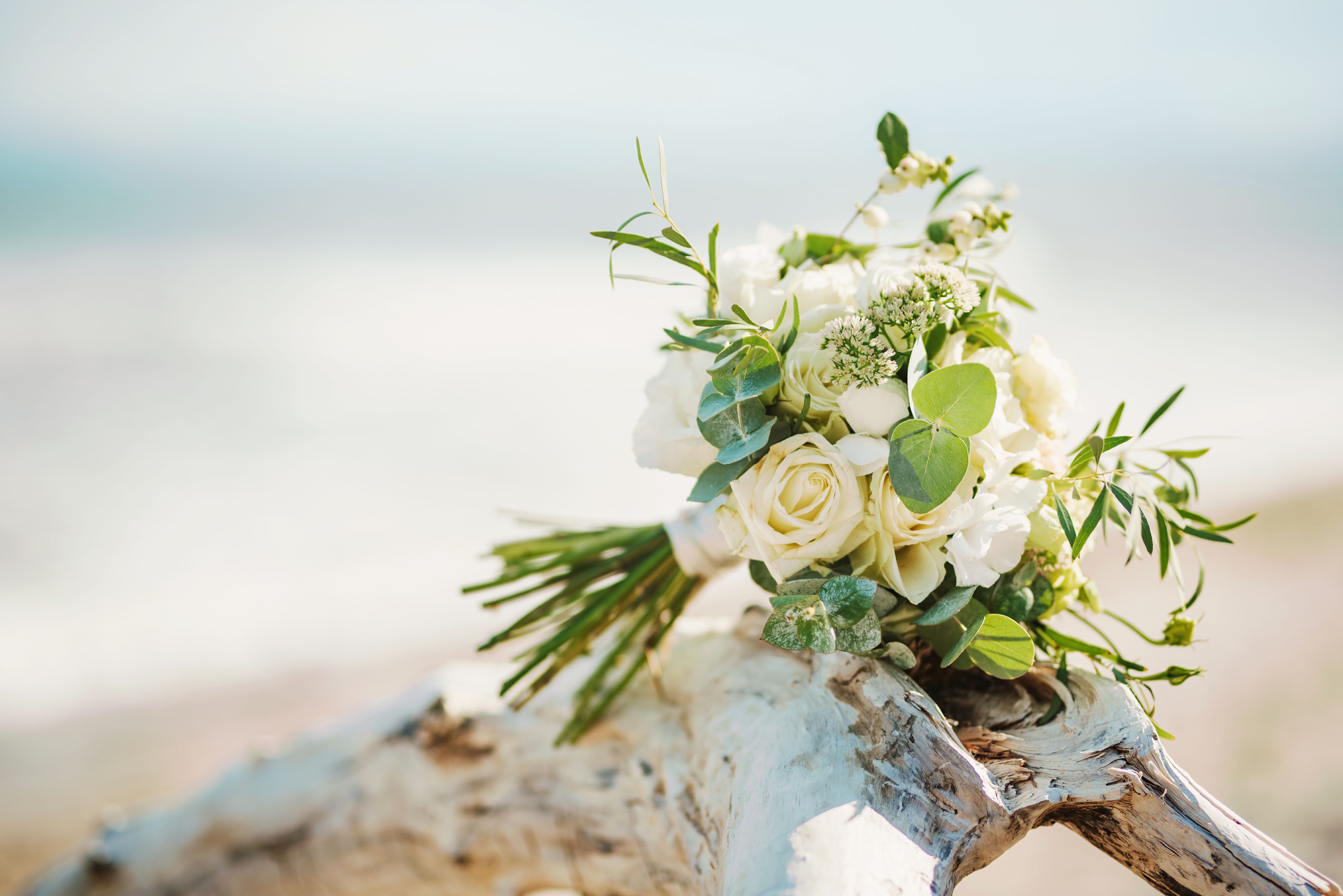 beach wedding reception