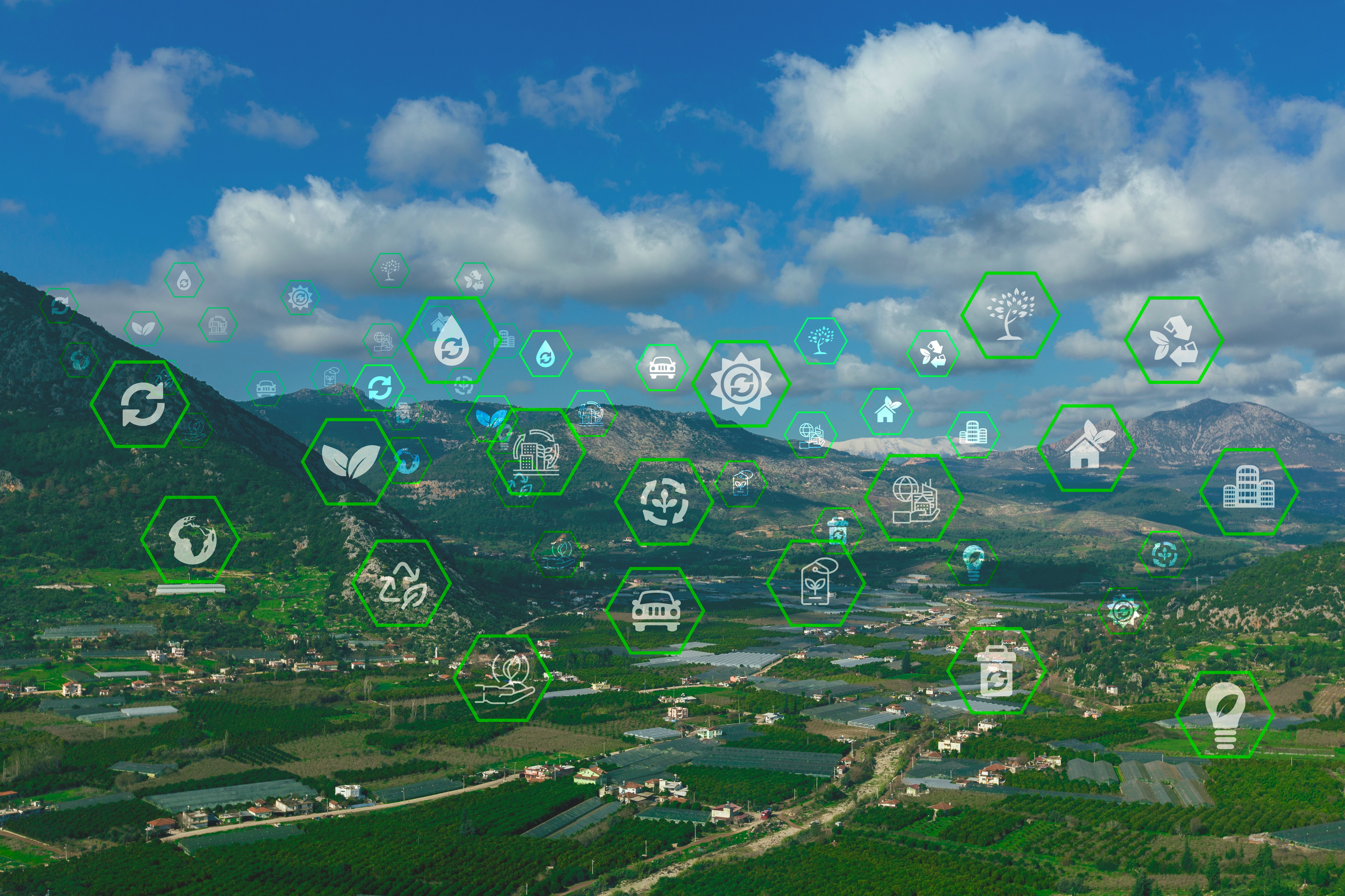 smart technology forest