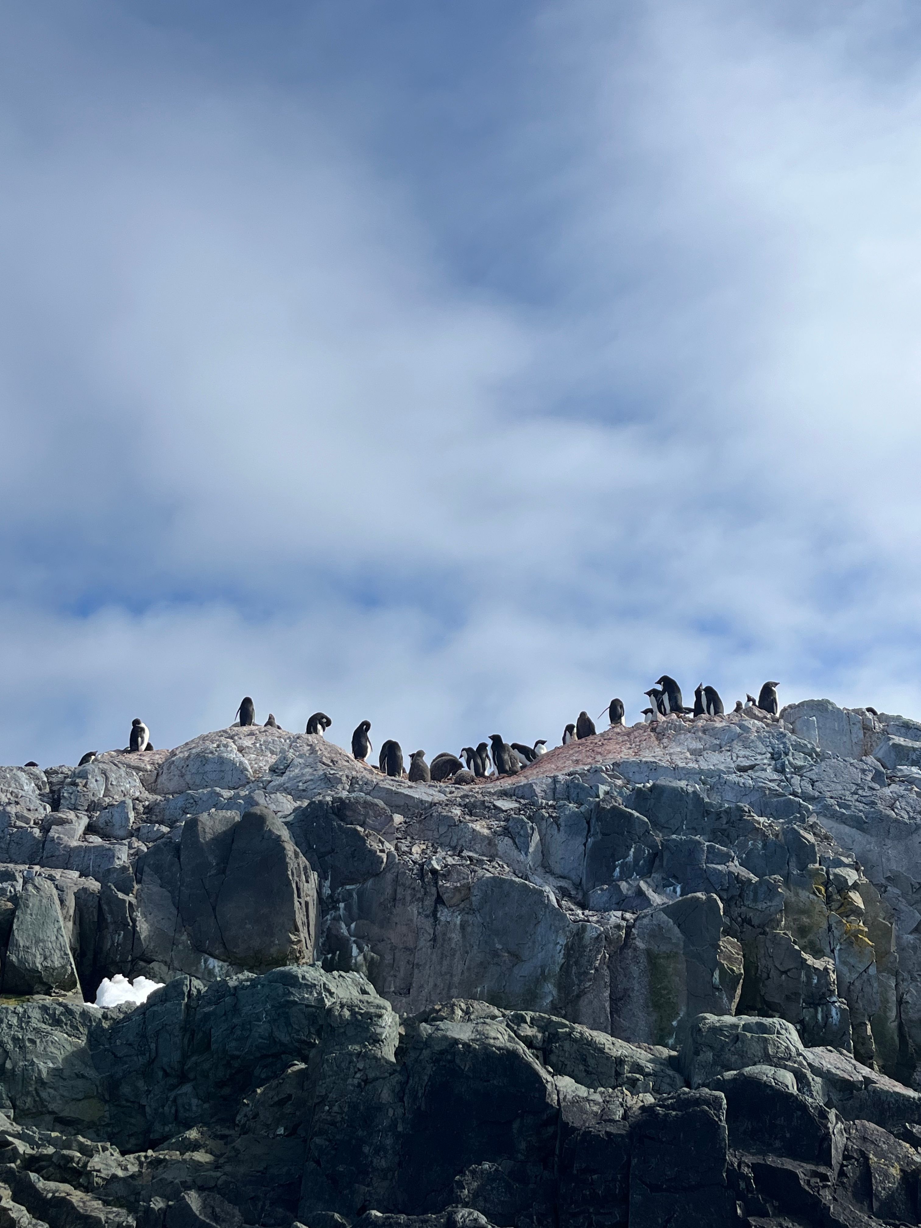 antarctica activities