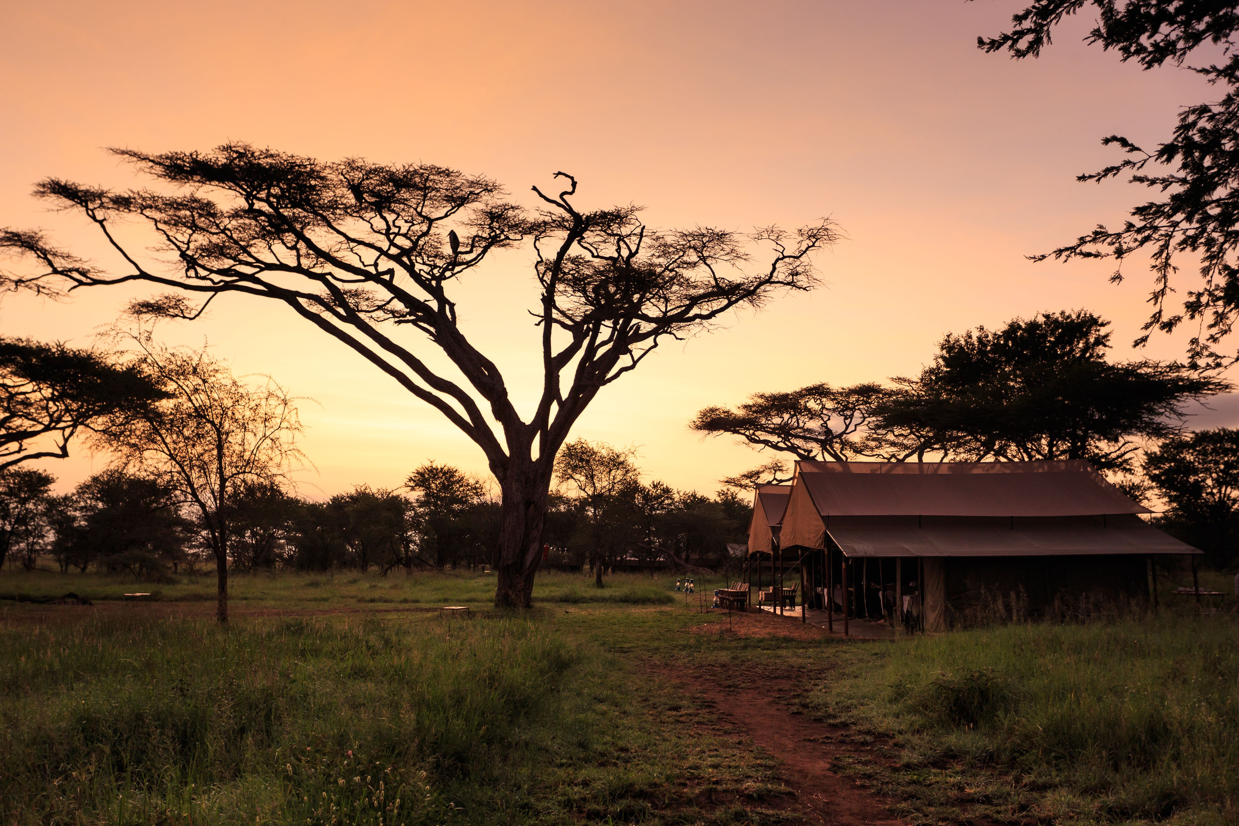 luxury safari lodge