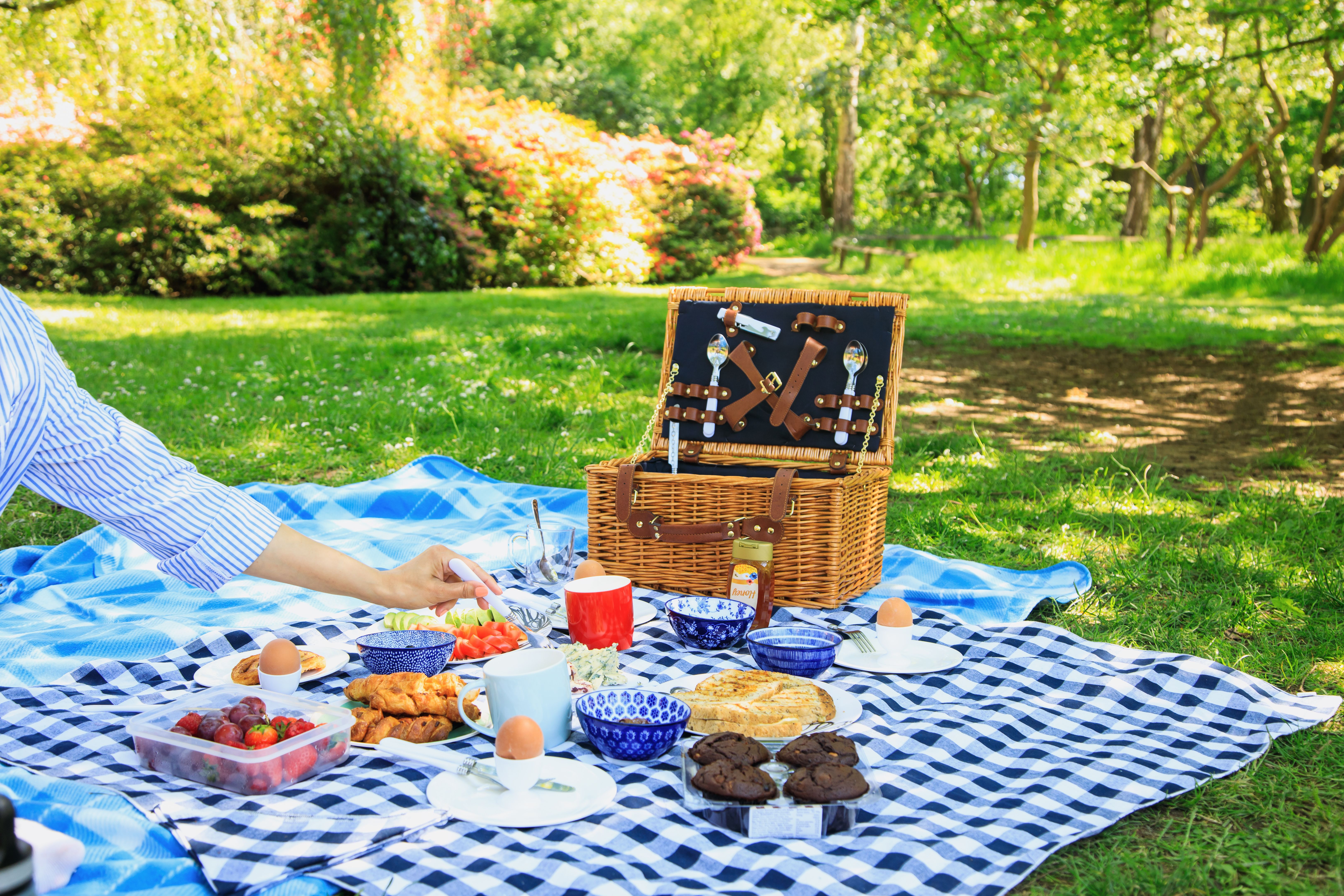 picnic setting