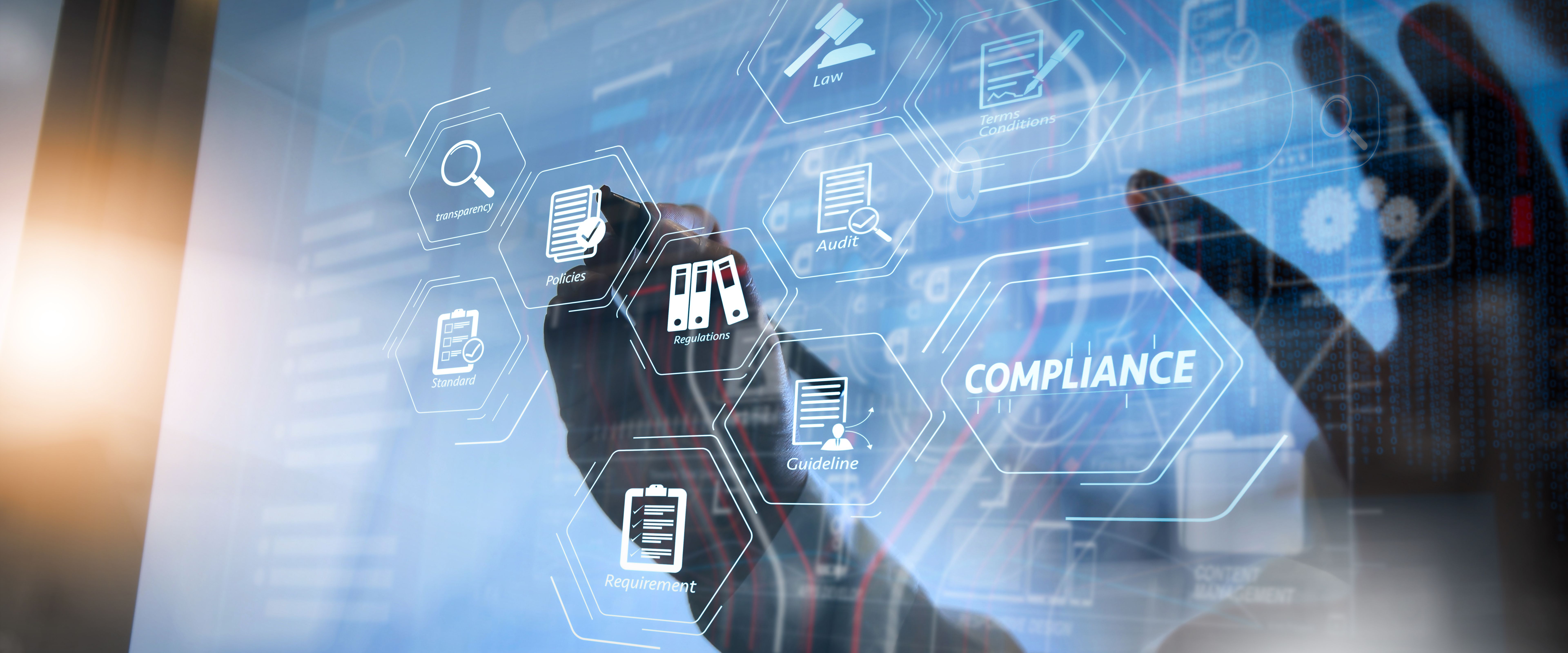network audit