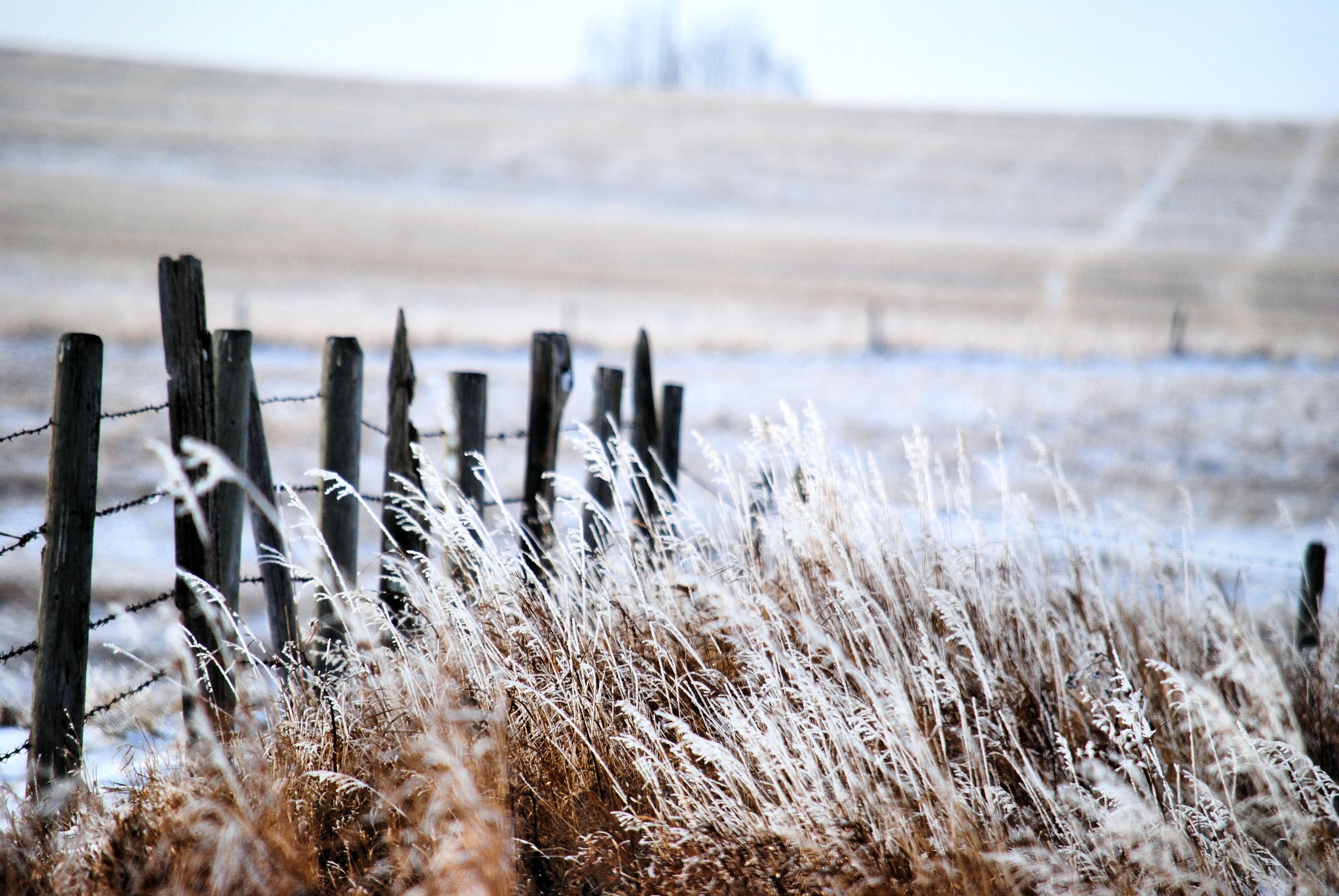 winter storm fence