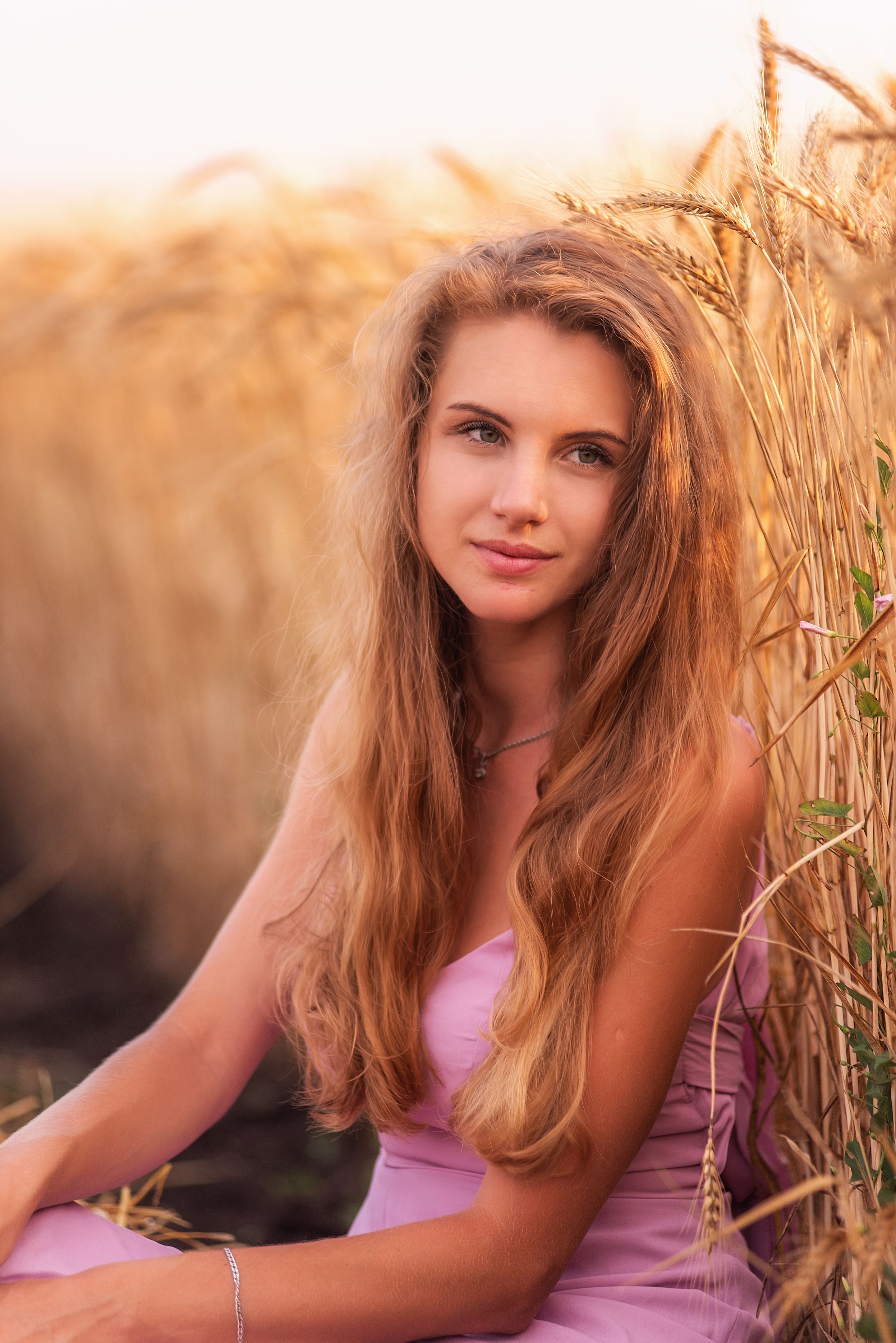 Young woman in delicate pink dress sits by a wheat field. The girl dreams by the golden ears of rye