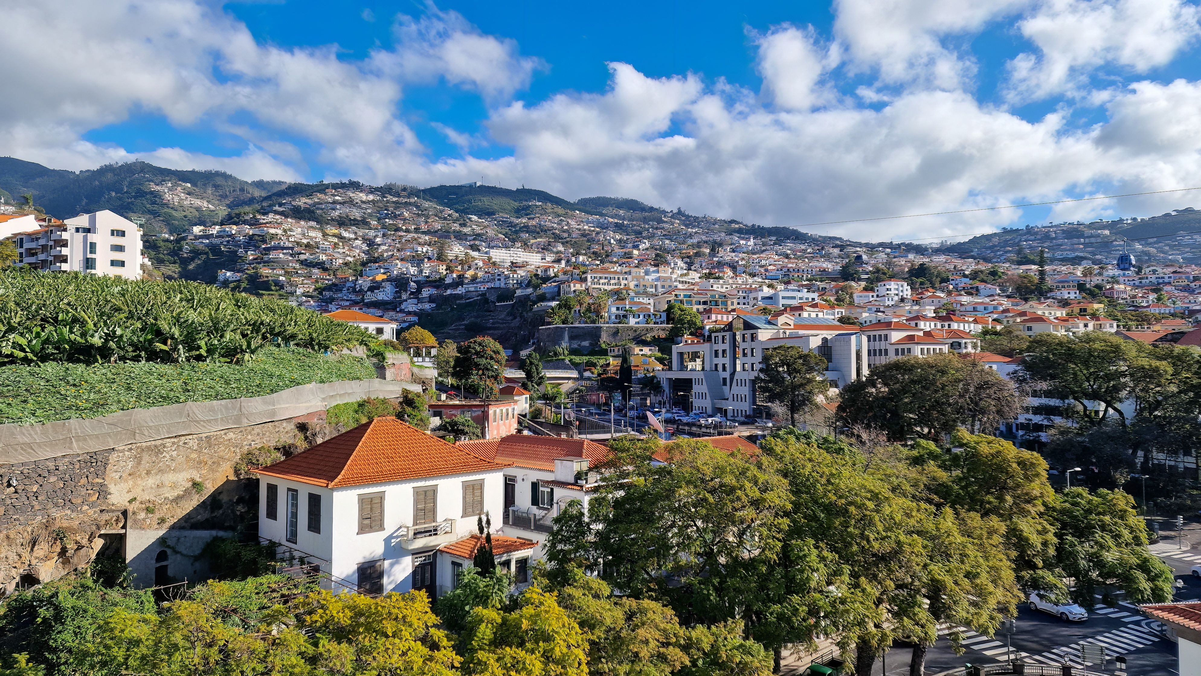 study abroad funchal