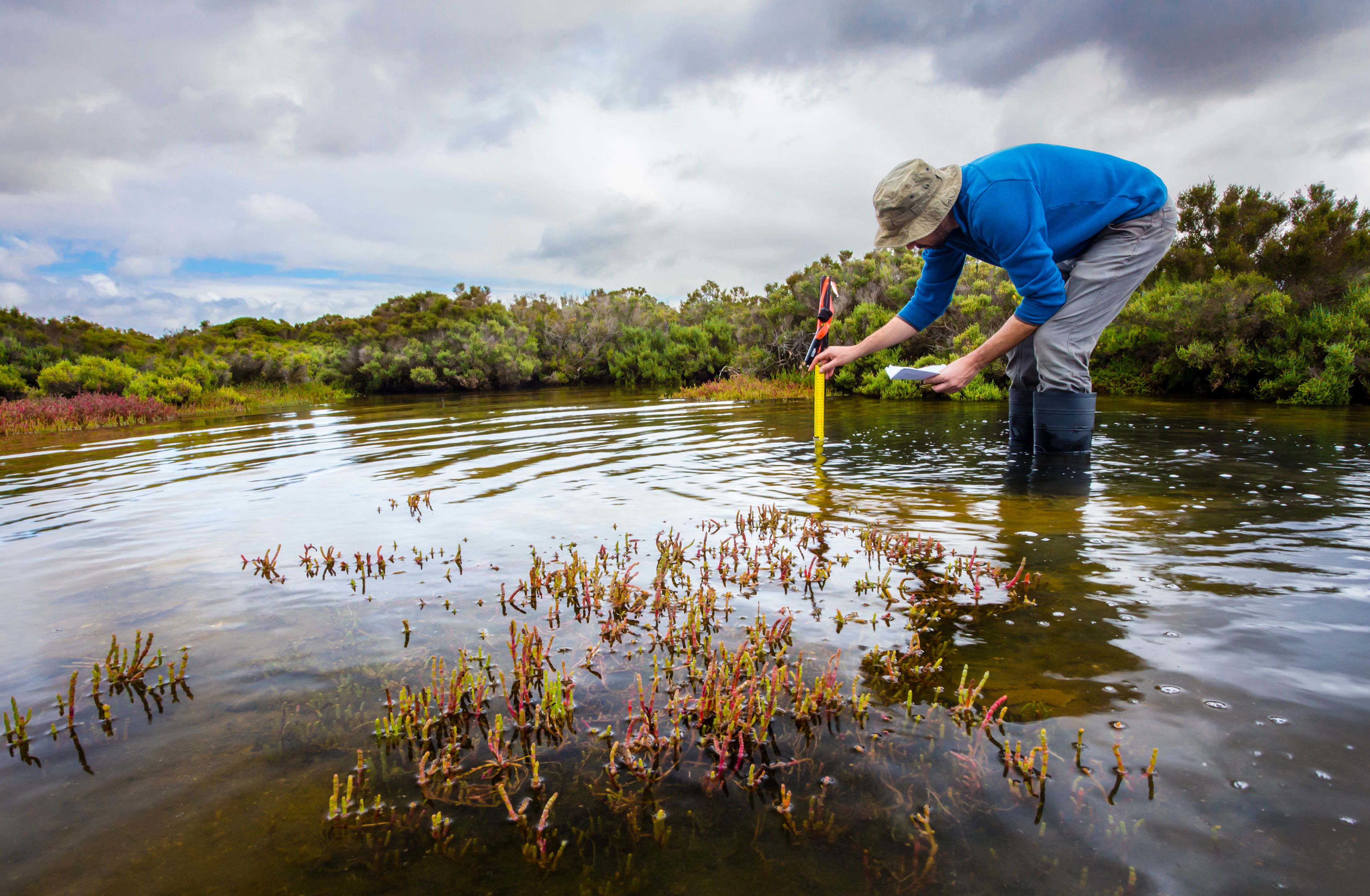 wetland conservation