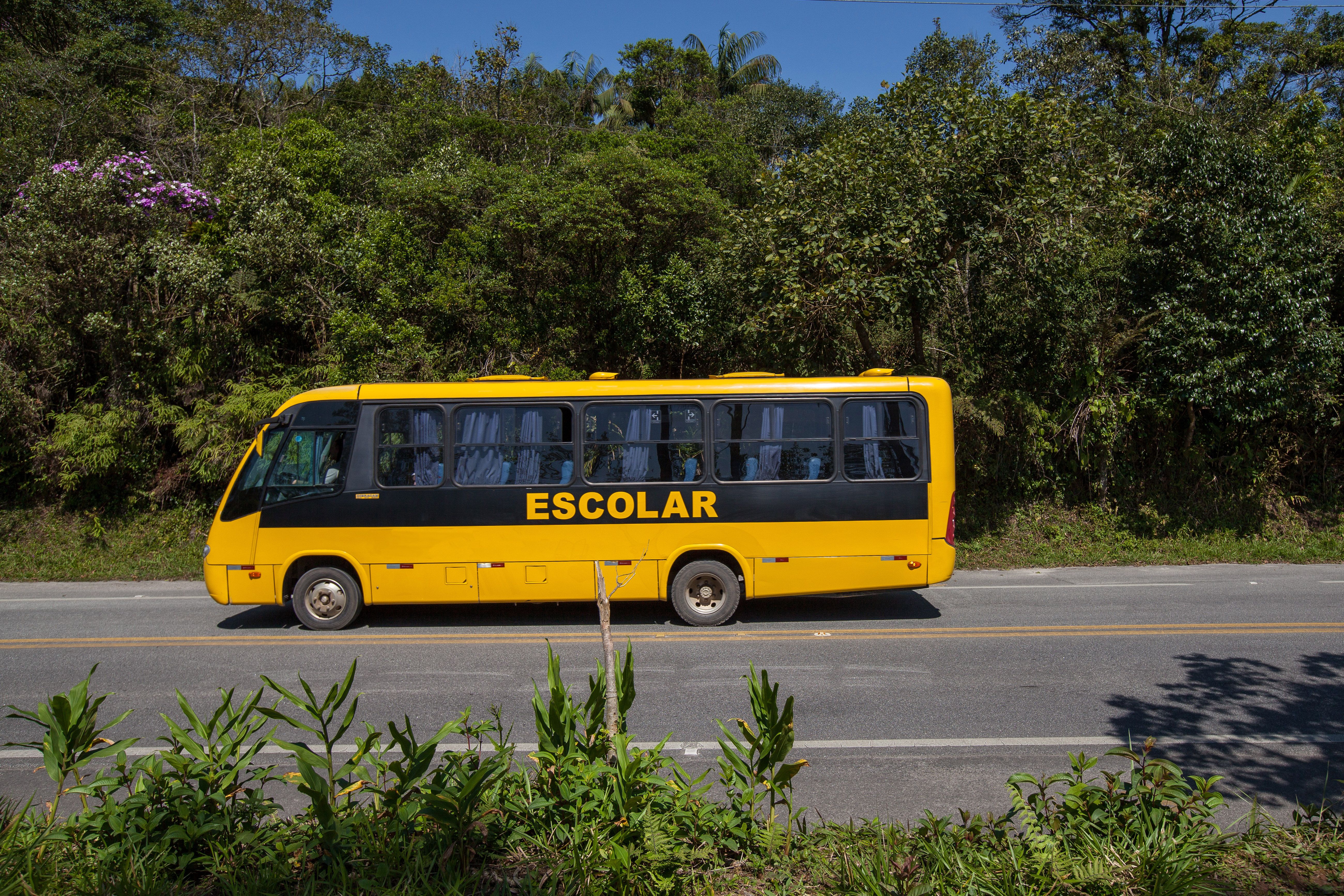 school bus brazil