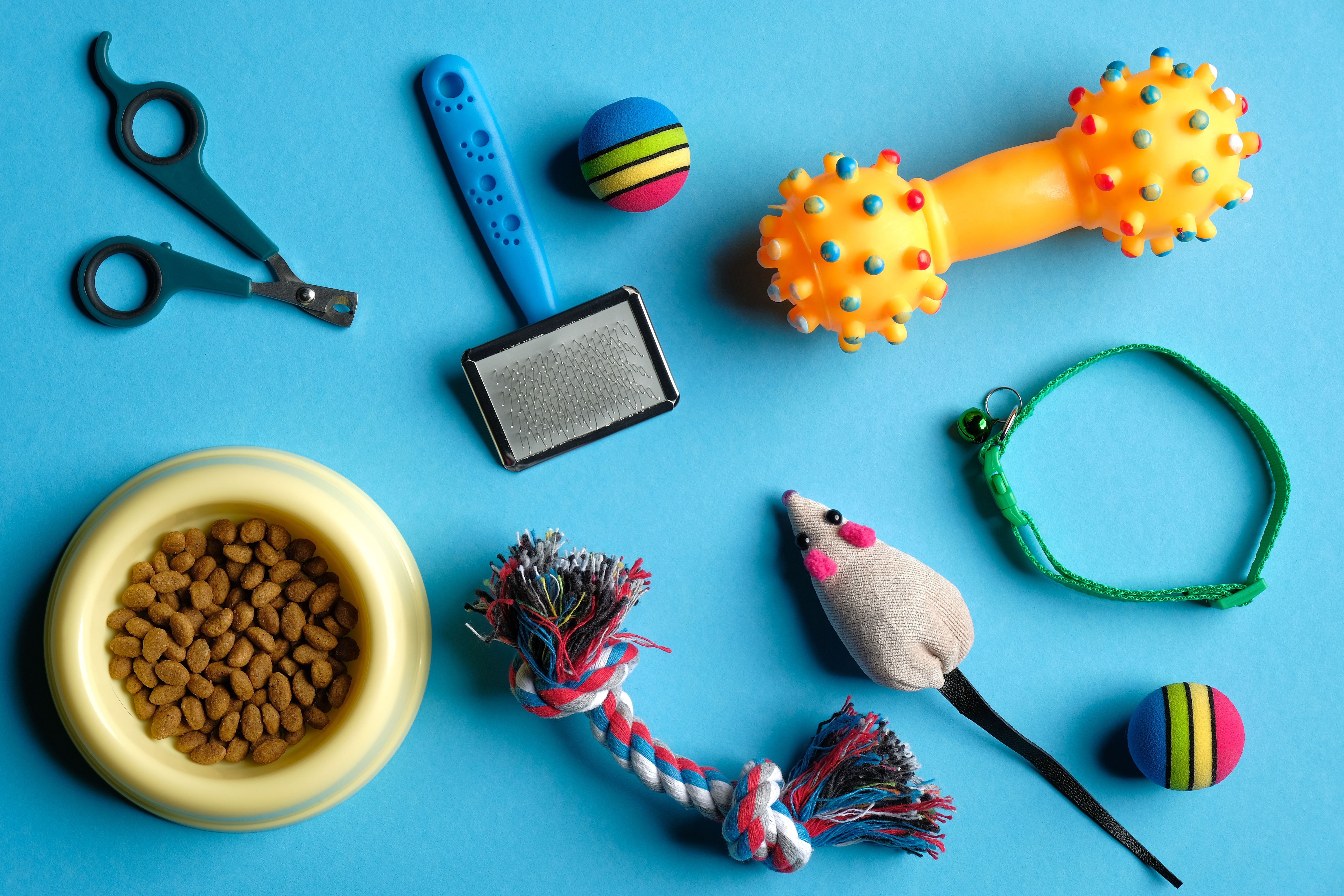 pet care