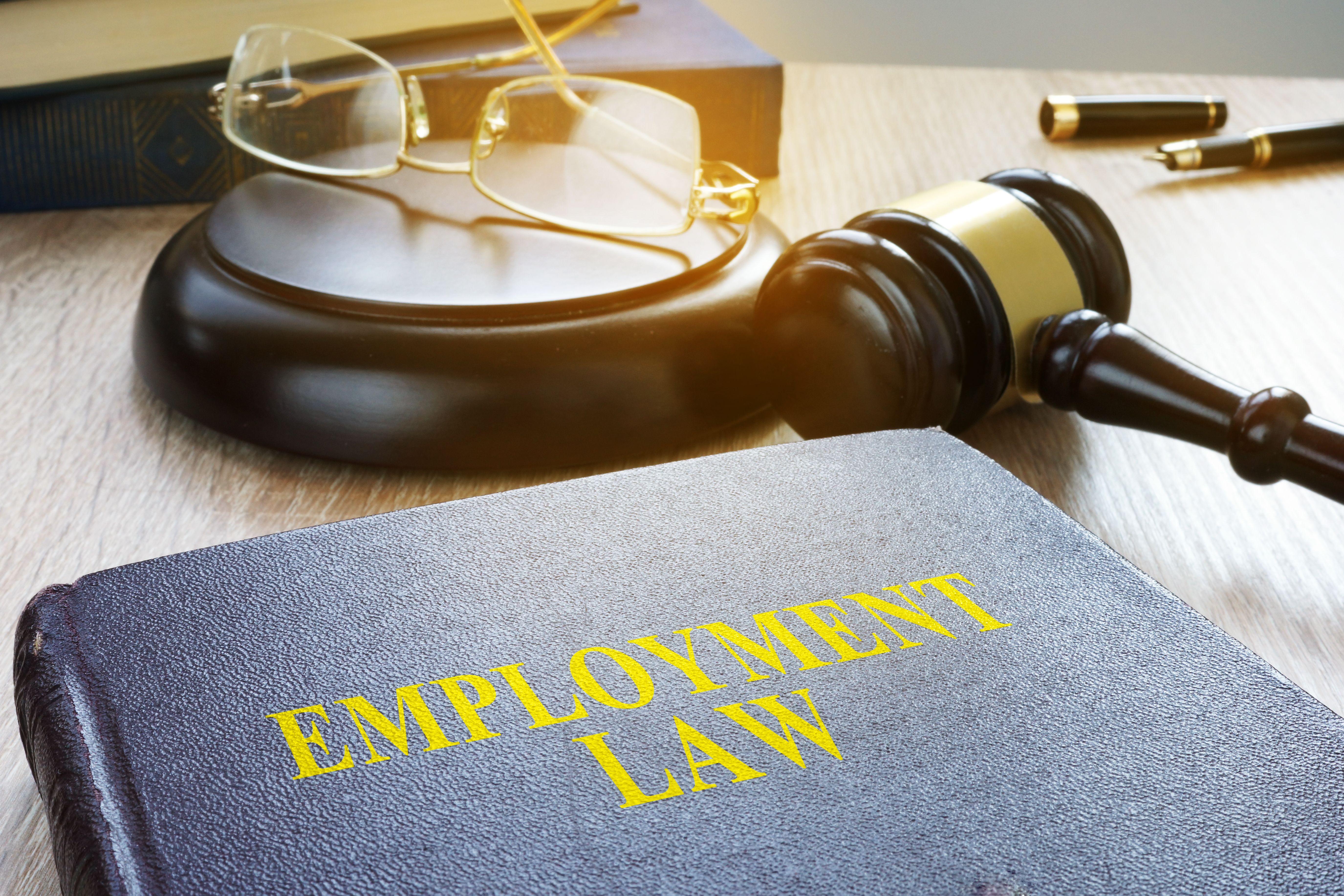 employment law expertise