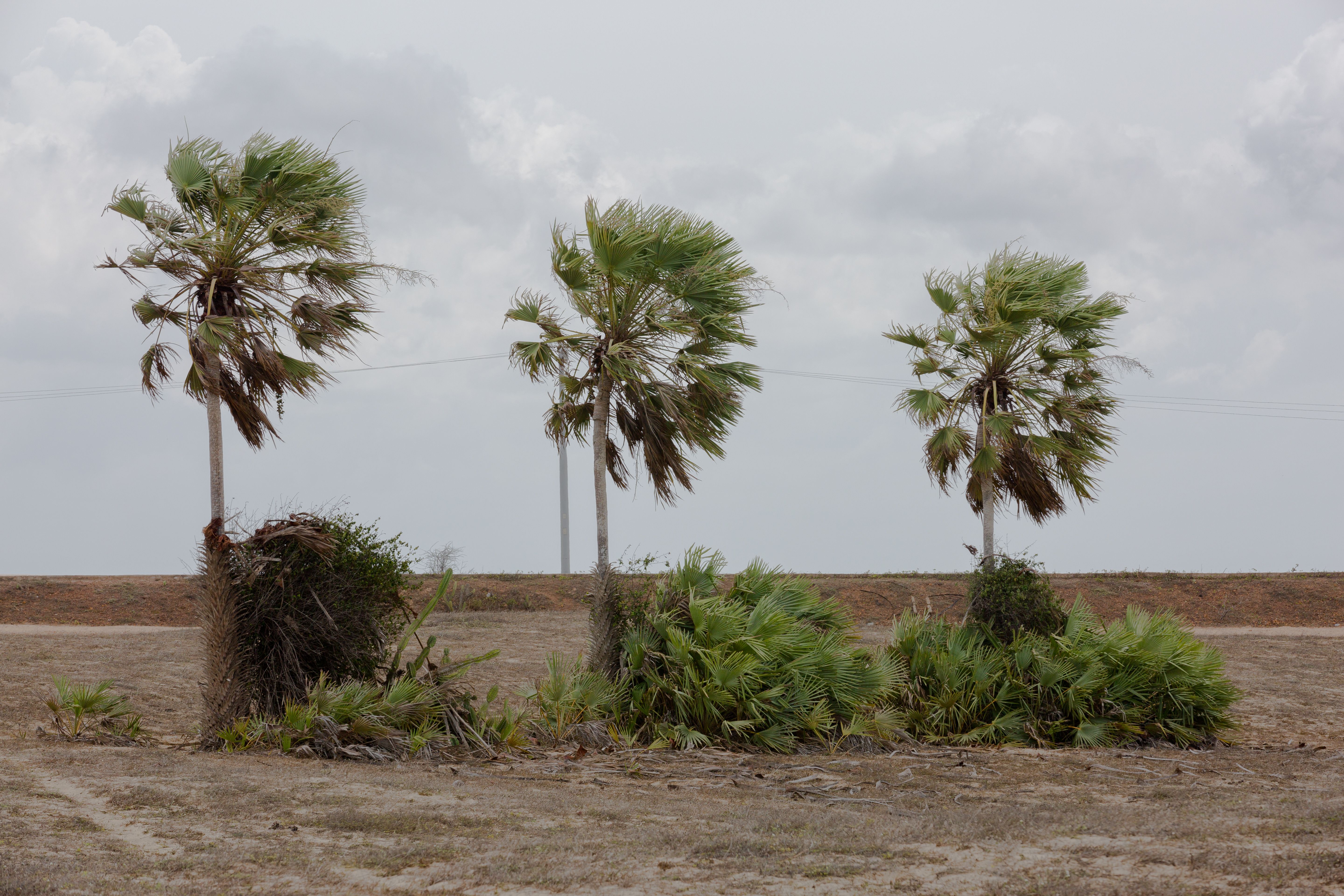 medano beach relaxing