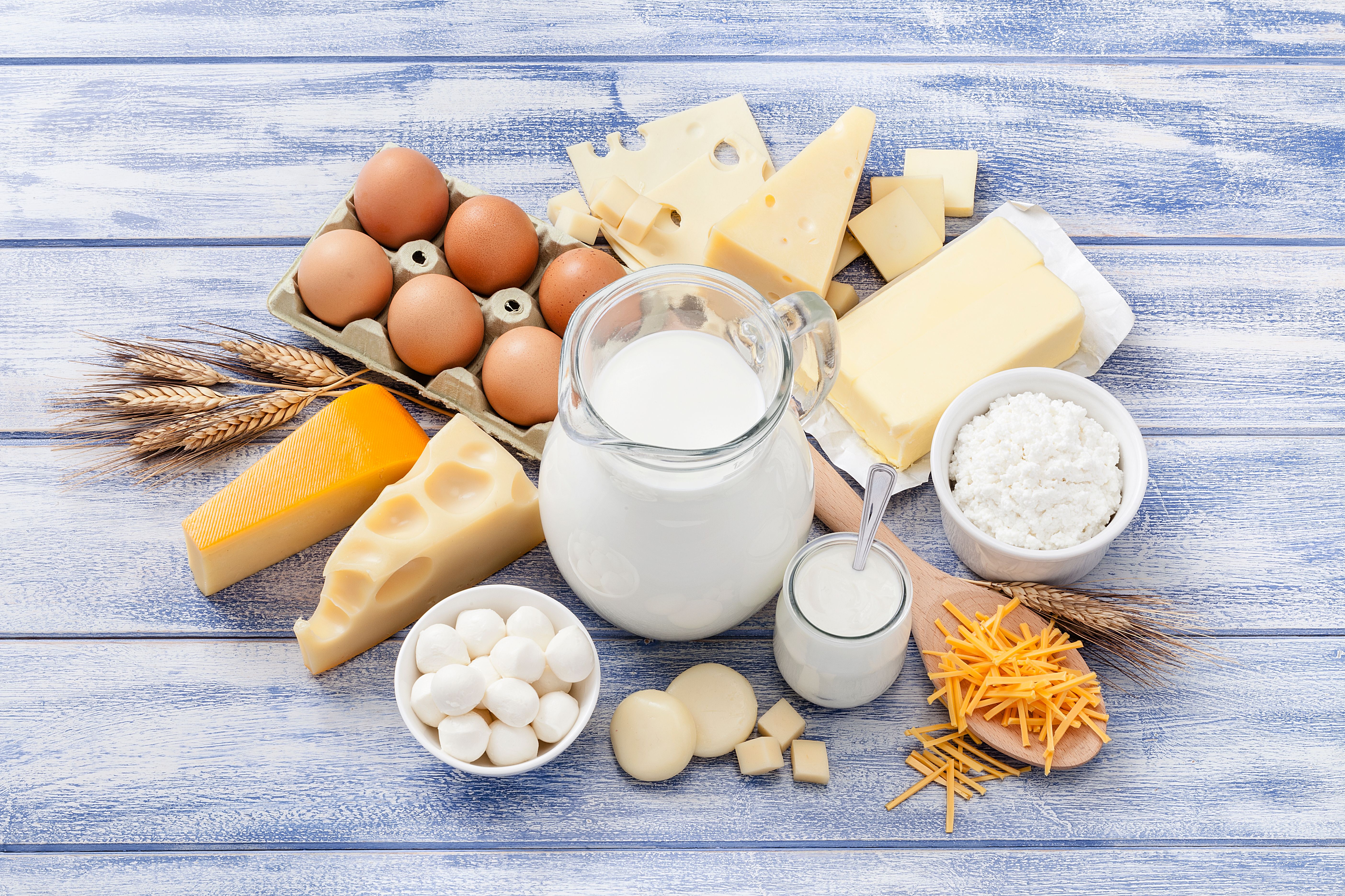 dairy products