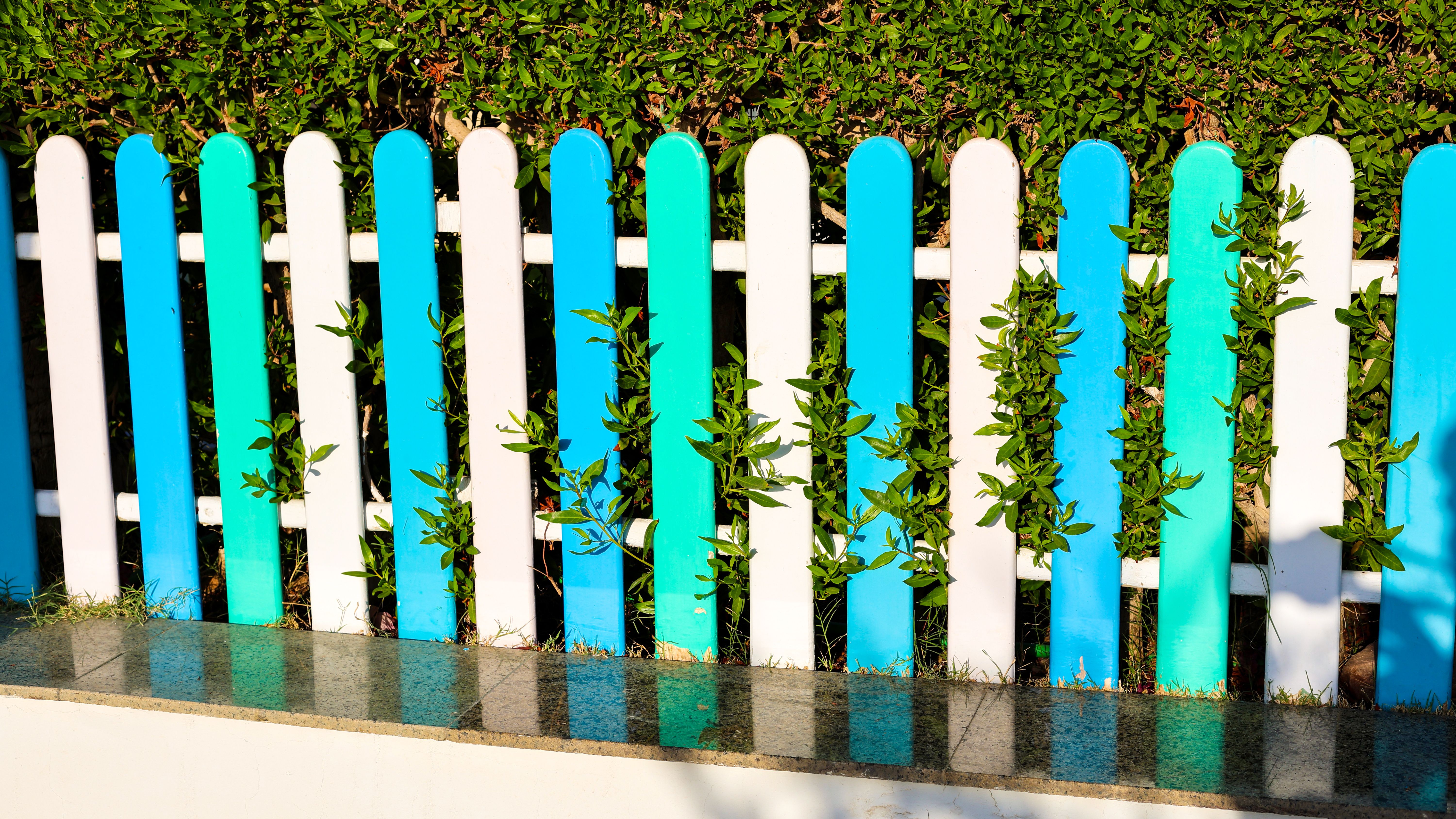 creative garden fence