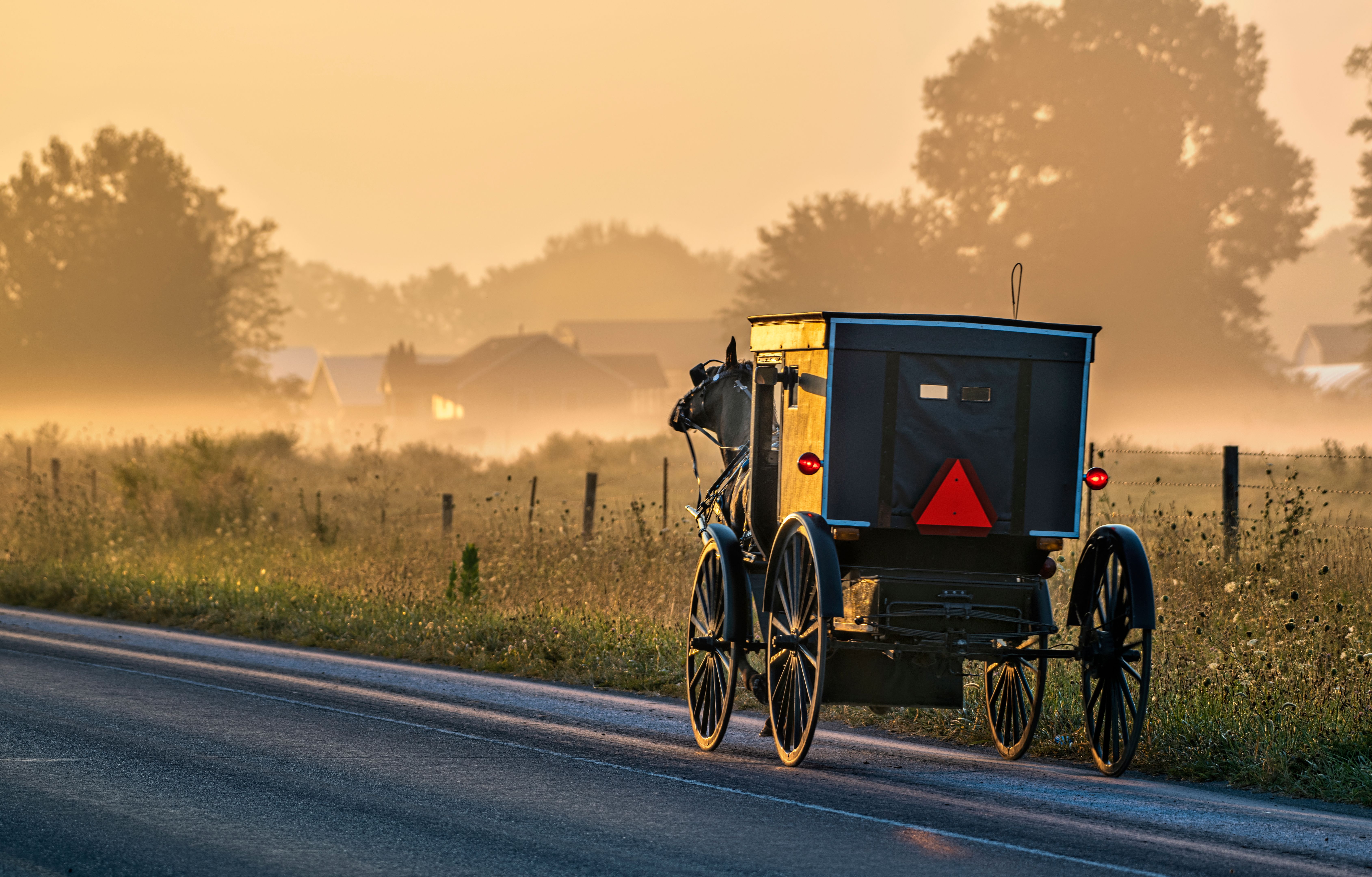 amish buggy ride