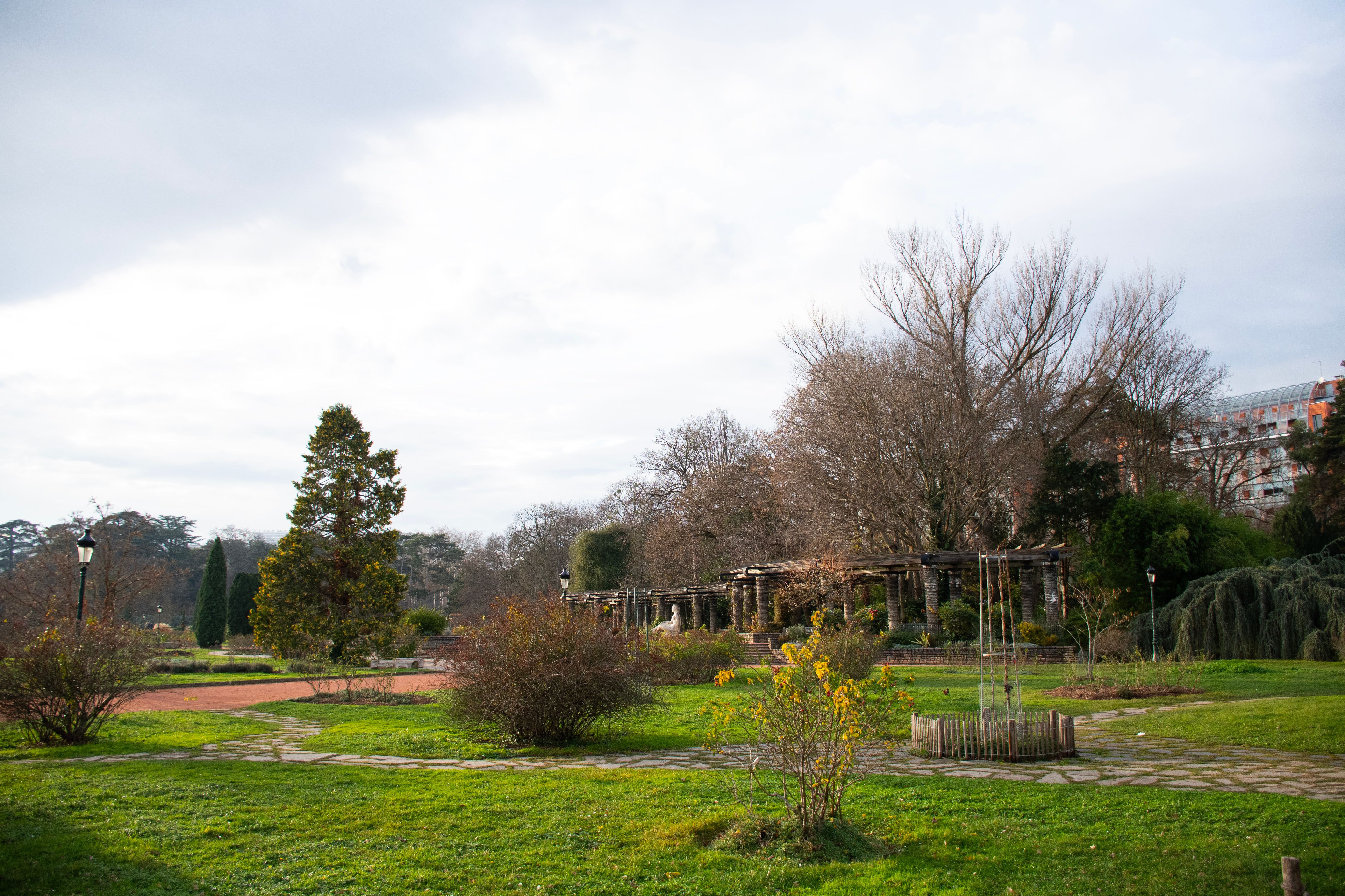 lyon family park