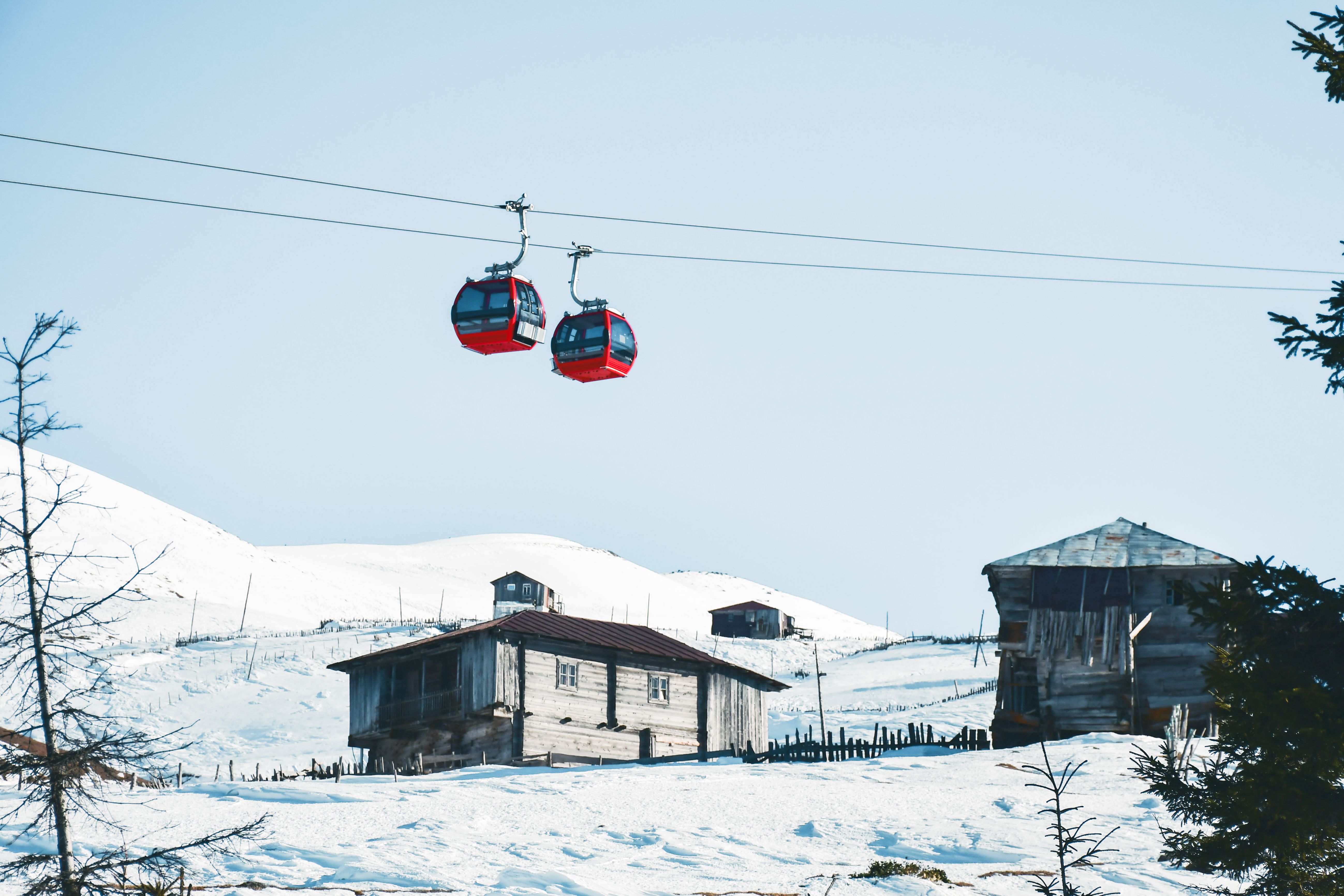 Red gondola ski cable way lift isolated in fir forest in Goderdzi ski resort. Georgia ski holiday destination