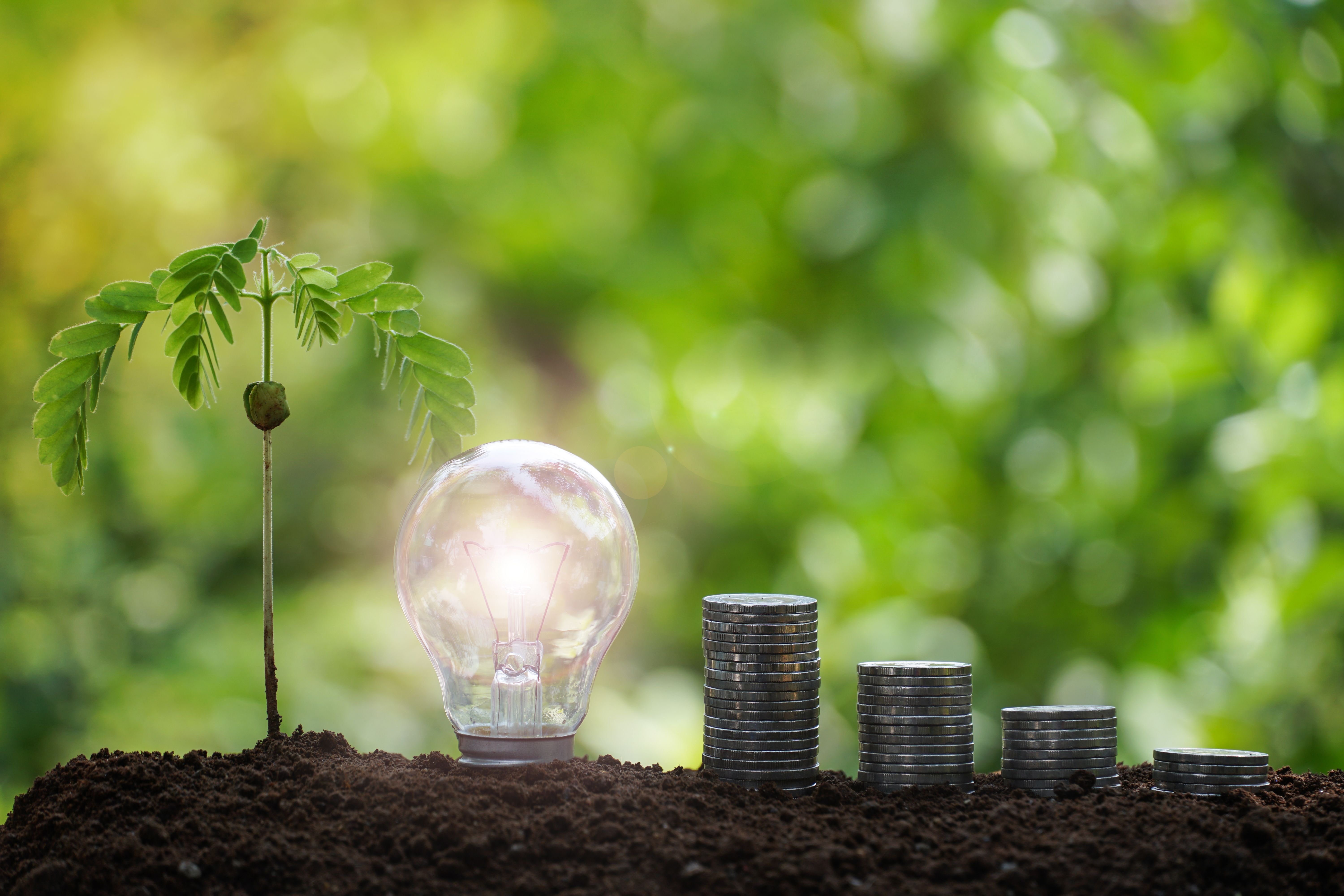 light bulb with coins stack increase business growth. business sustainable financial concept.