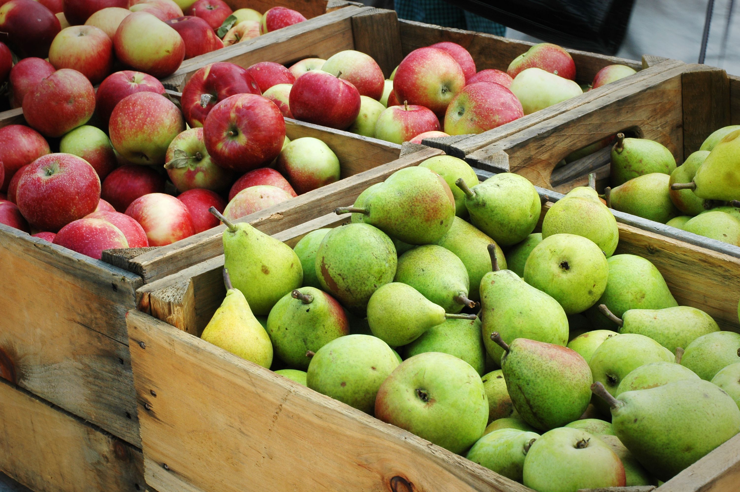 apples pears