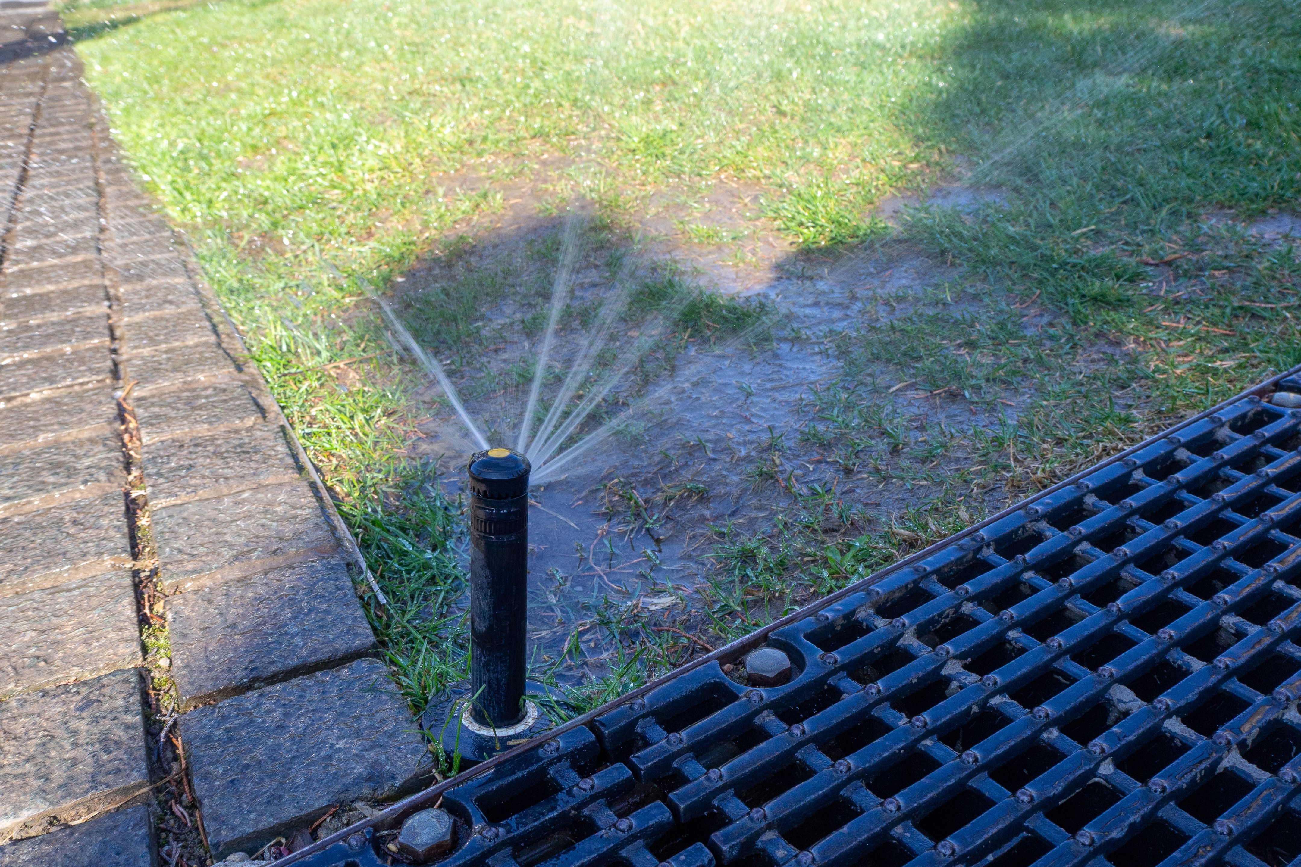 sprinkler maintenance