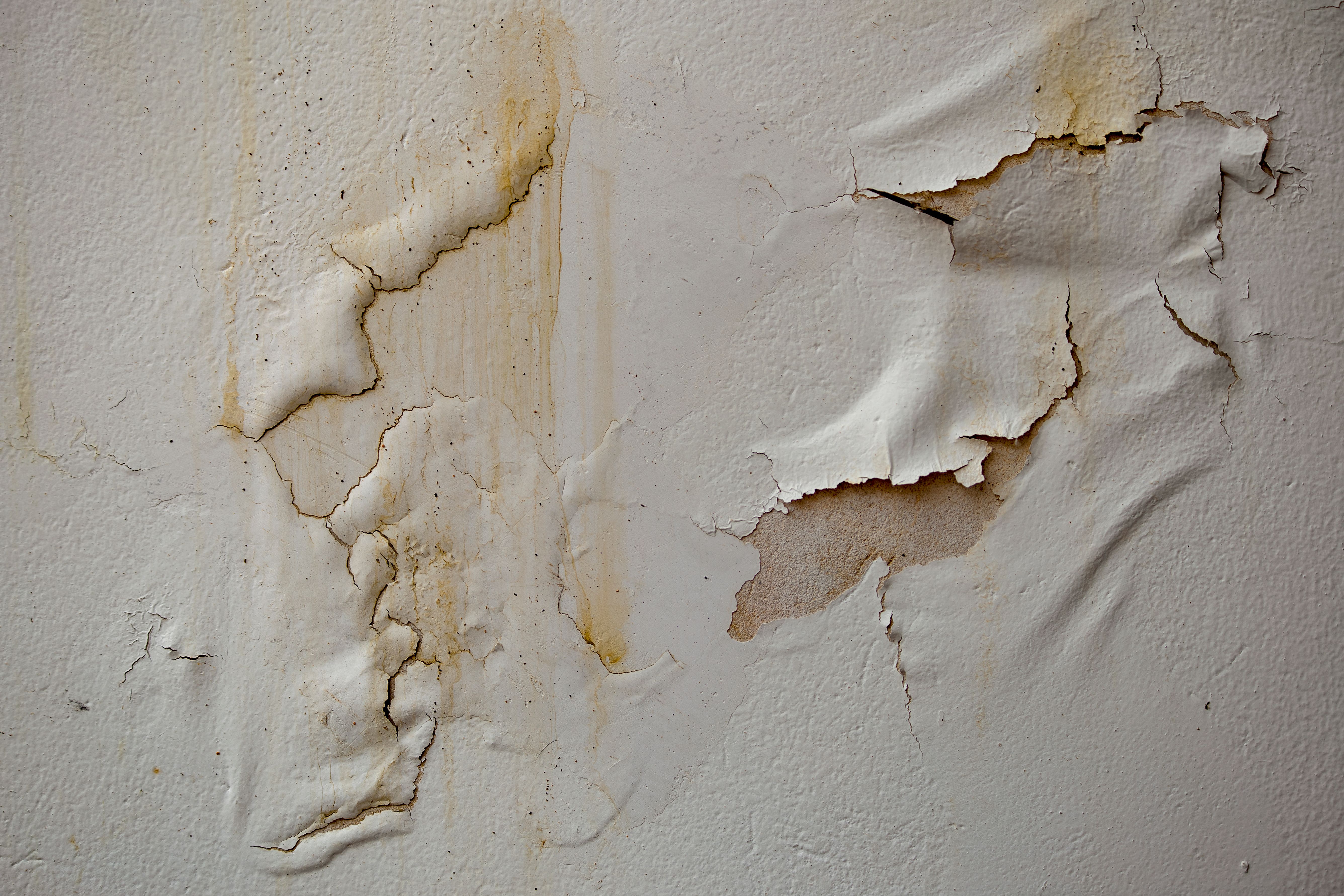 humidity effects paint