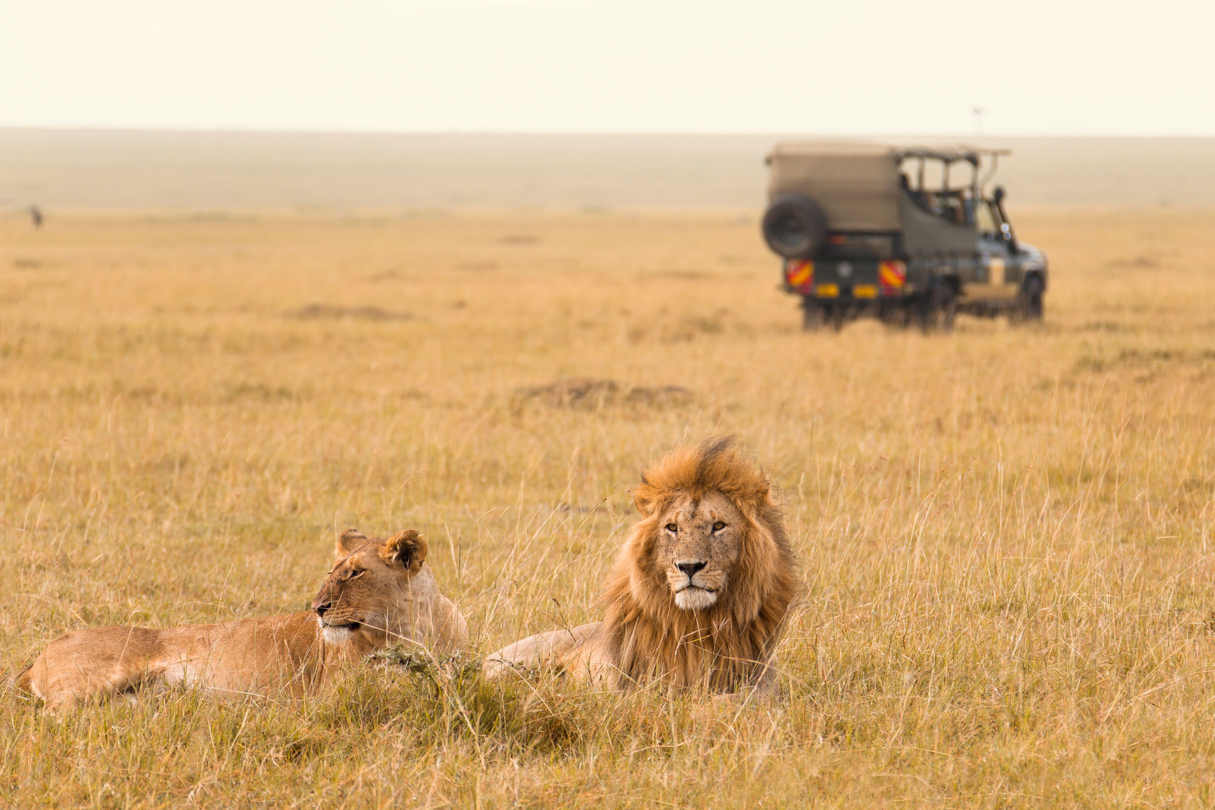 kenya tourism