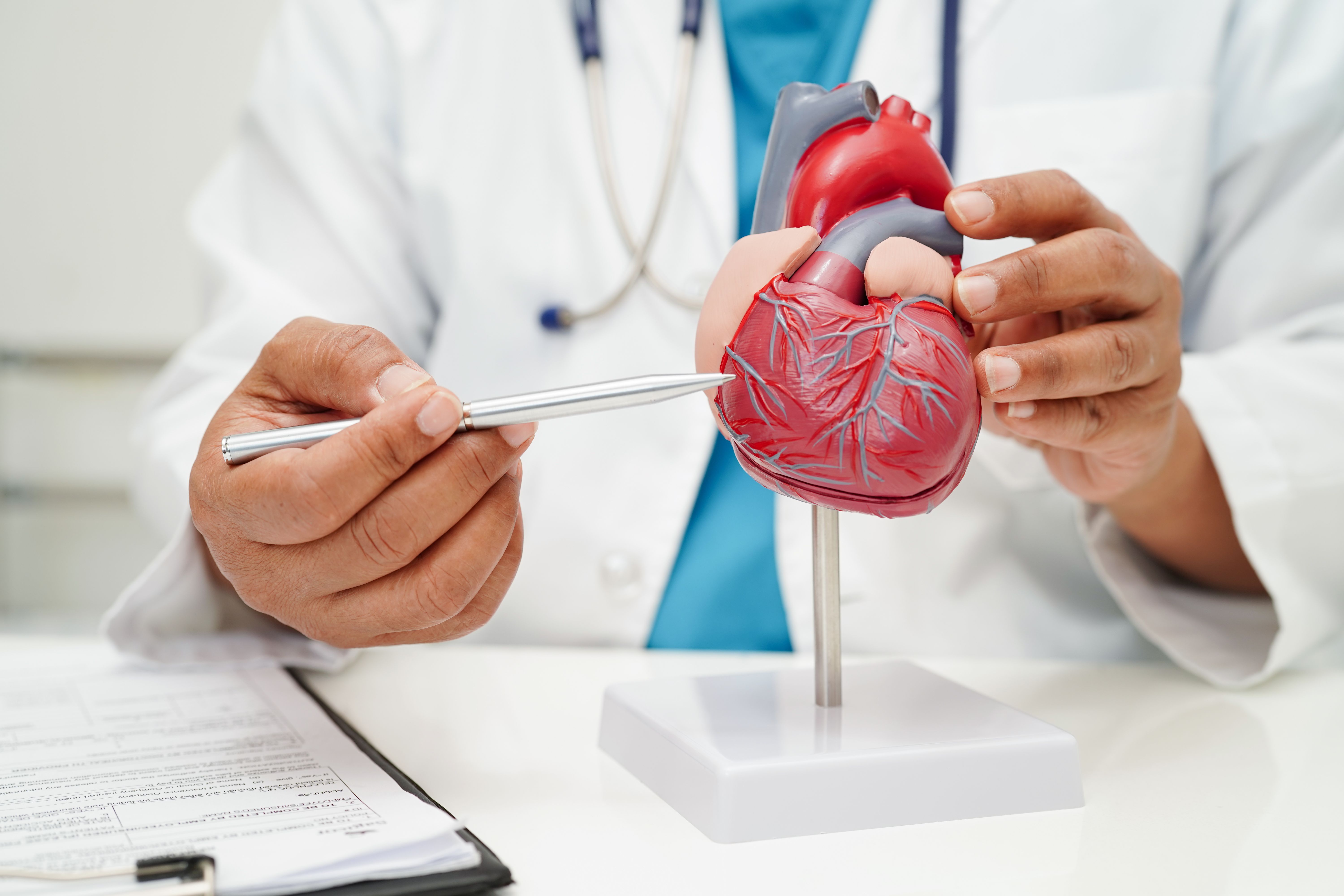 cardiovascular health