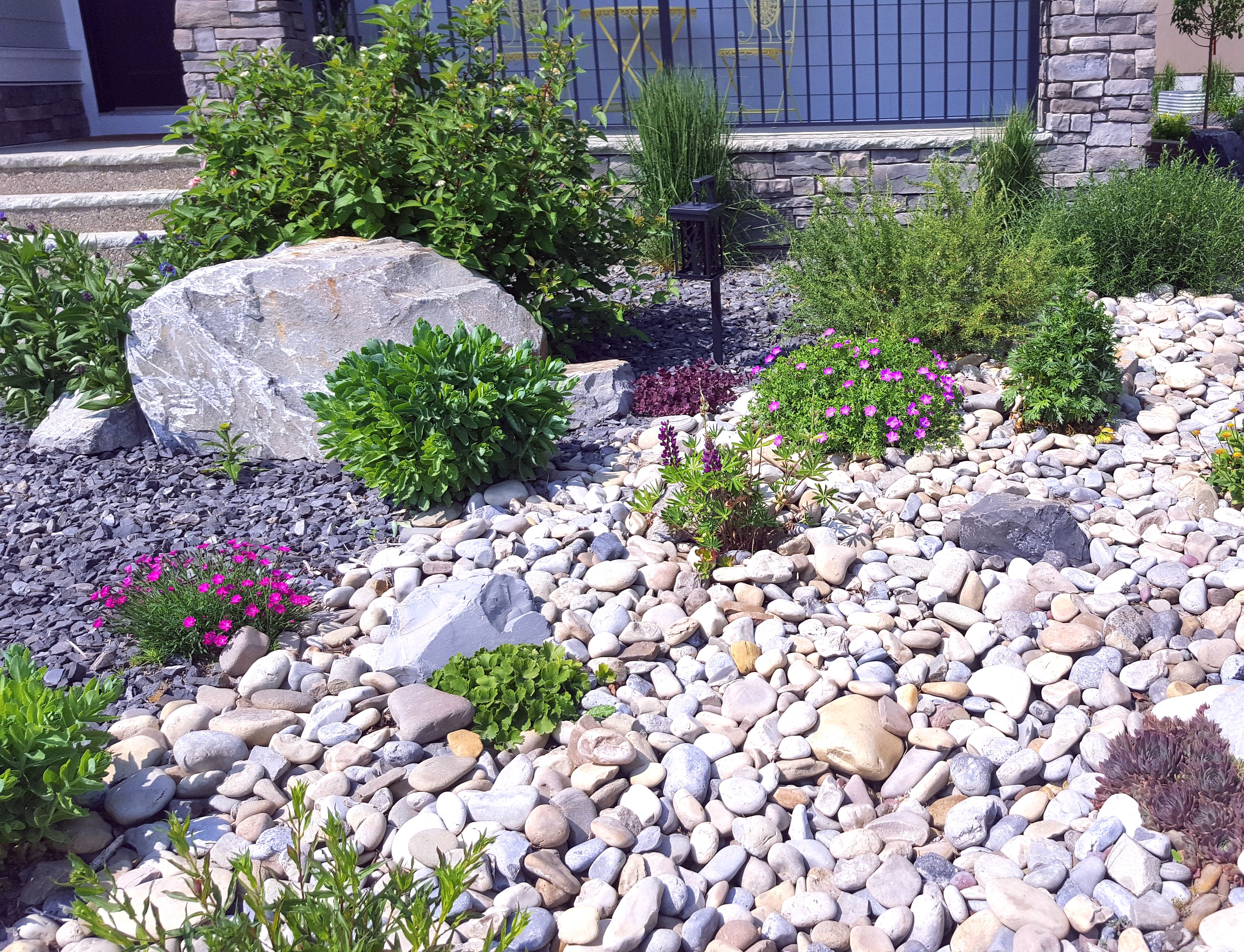xeriscaping garden