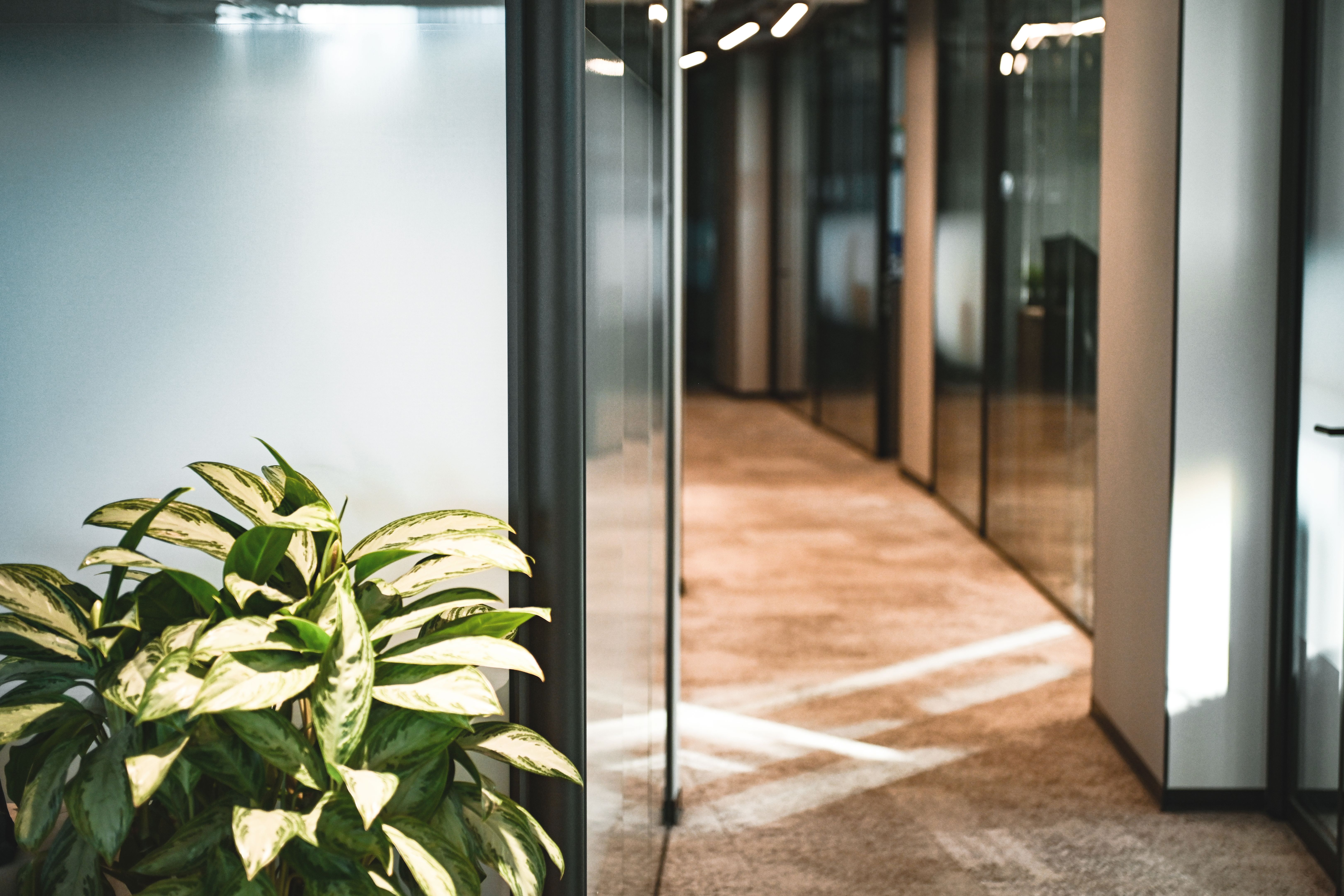 glass wall interior