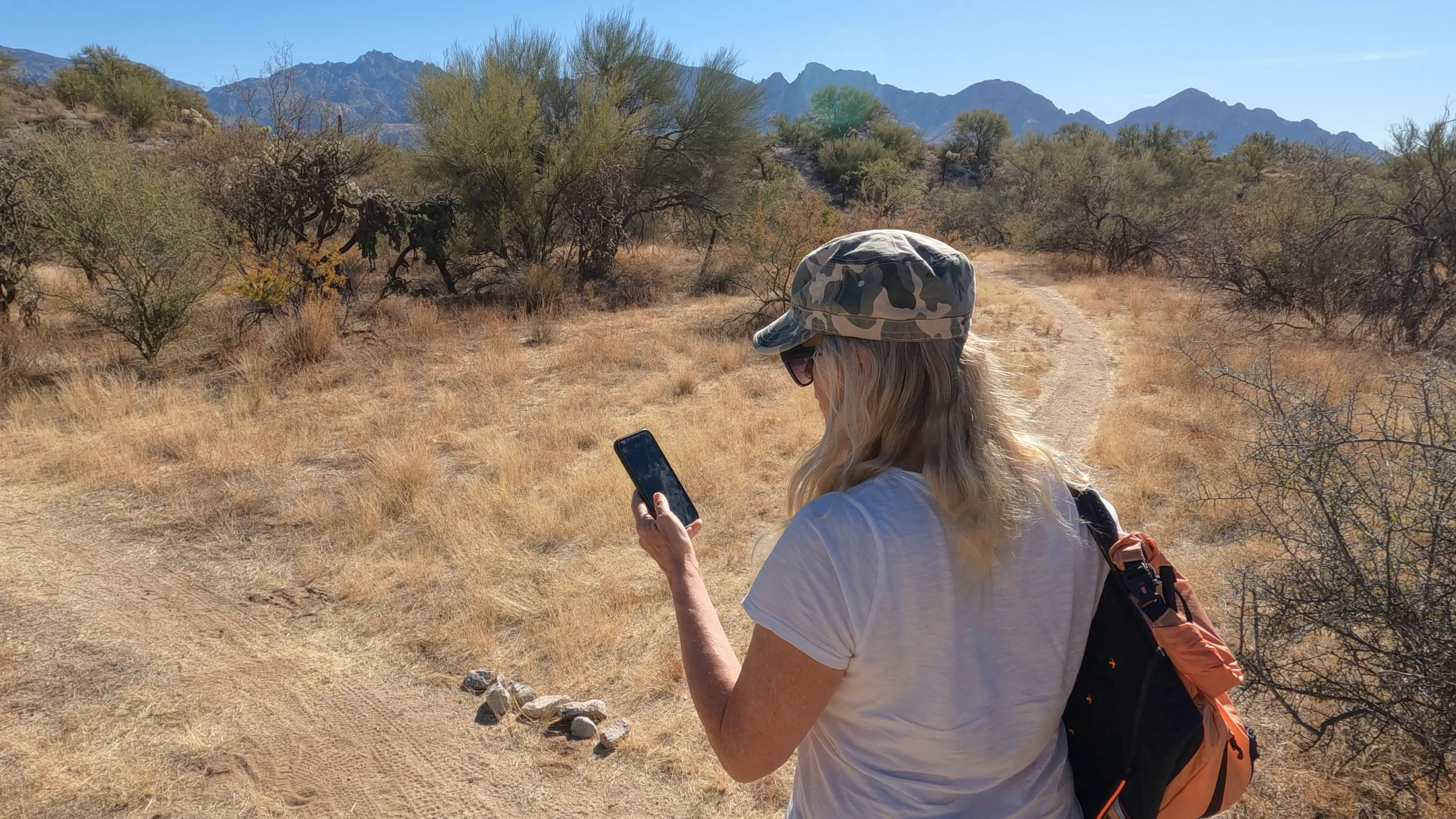 arizona web development