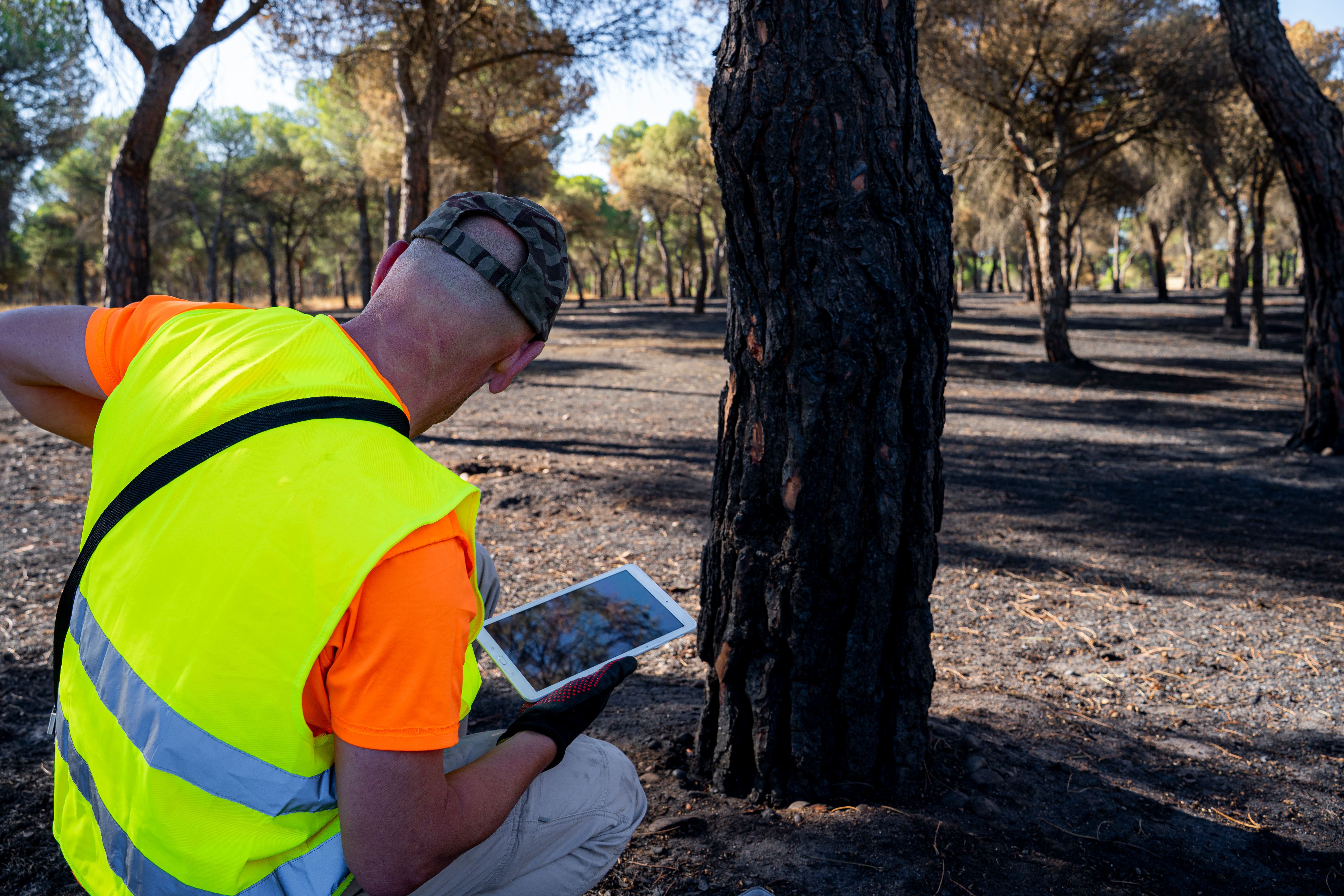 fire damage assessment