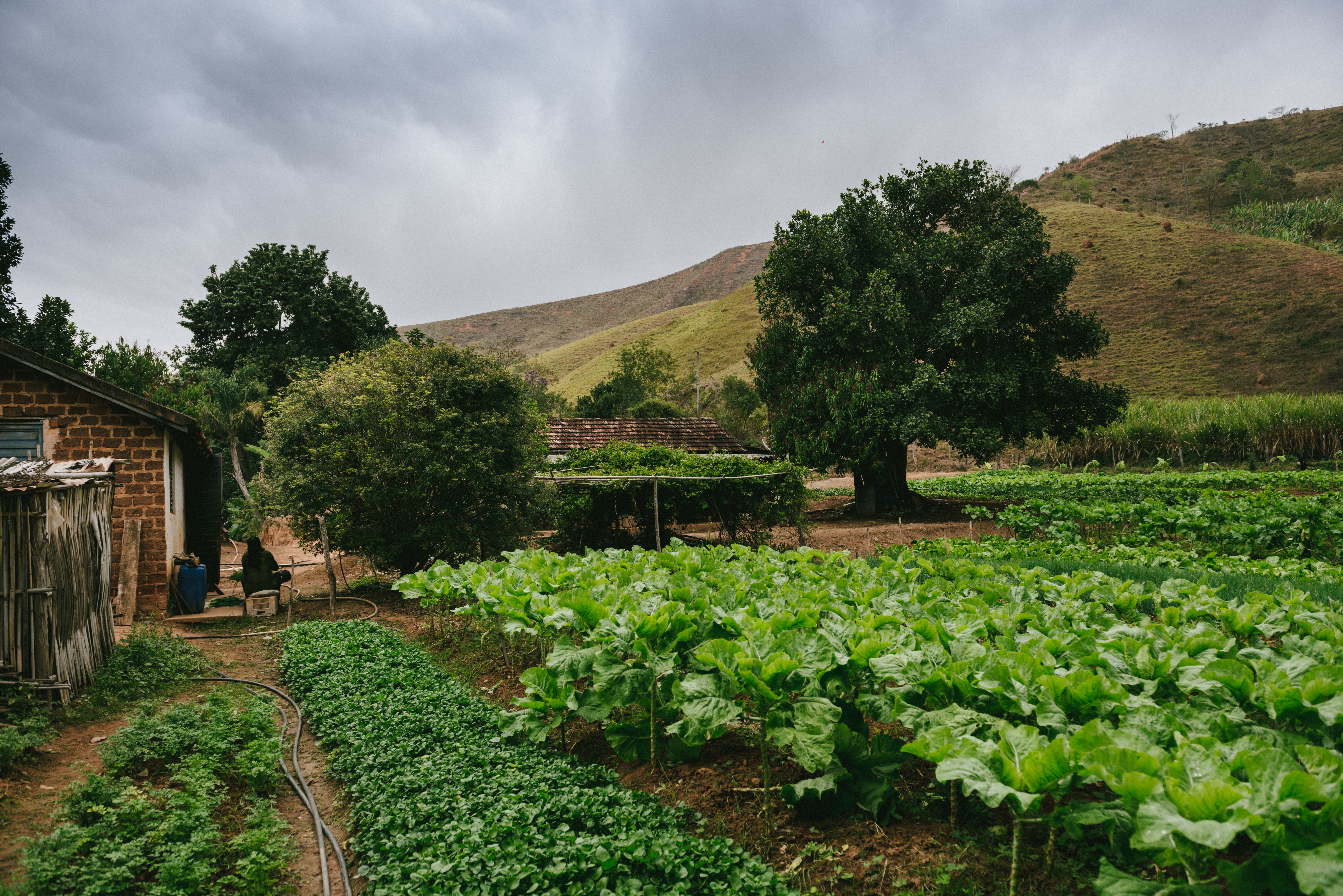 small farm