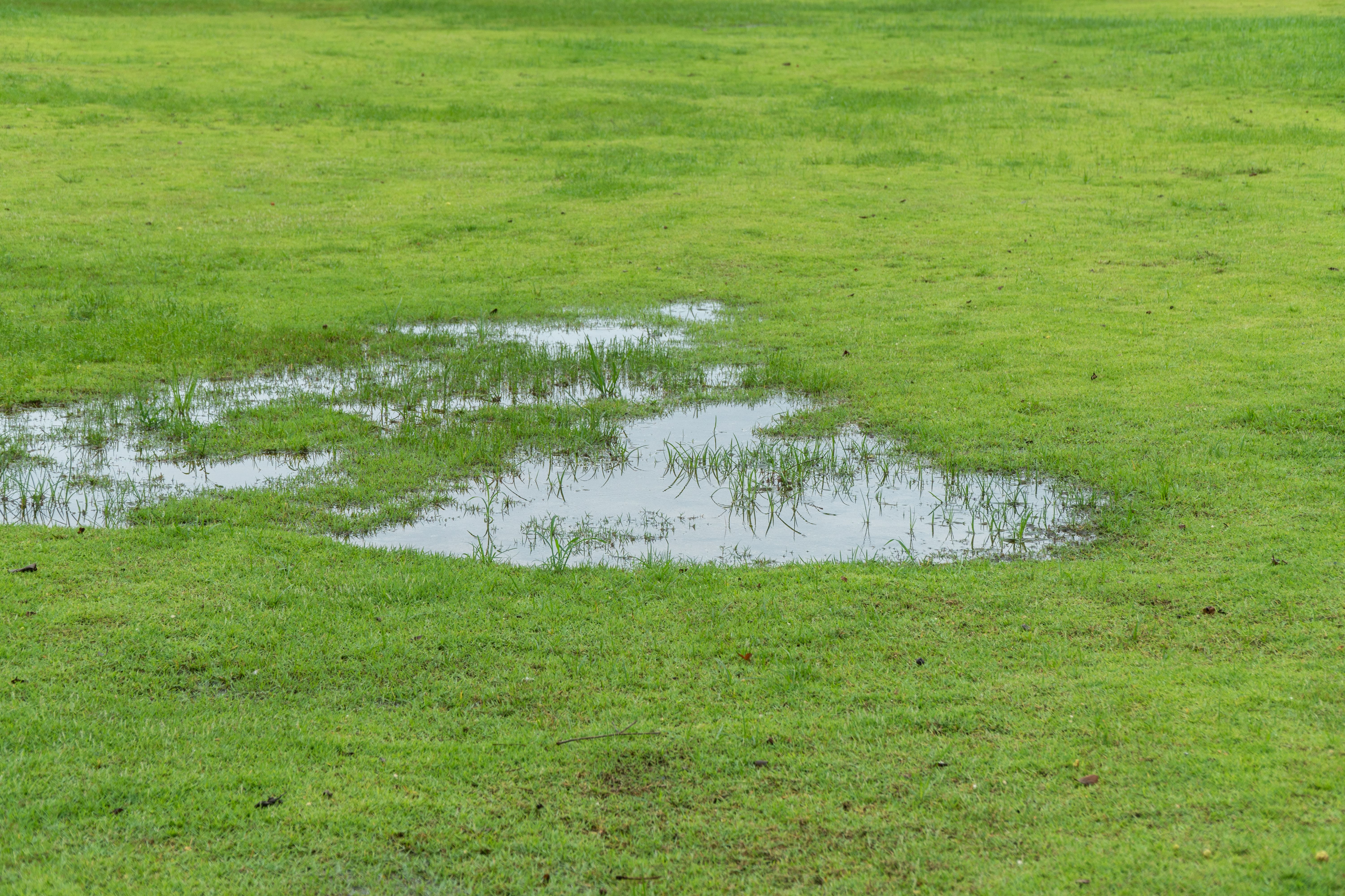 garden drainage