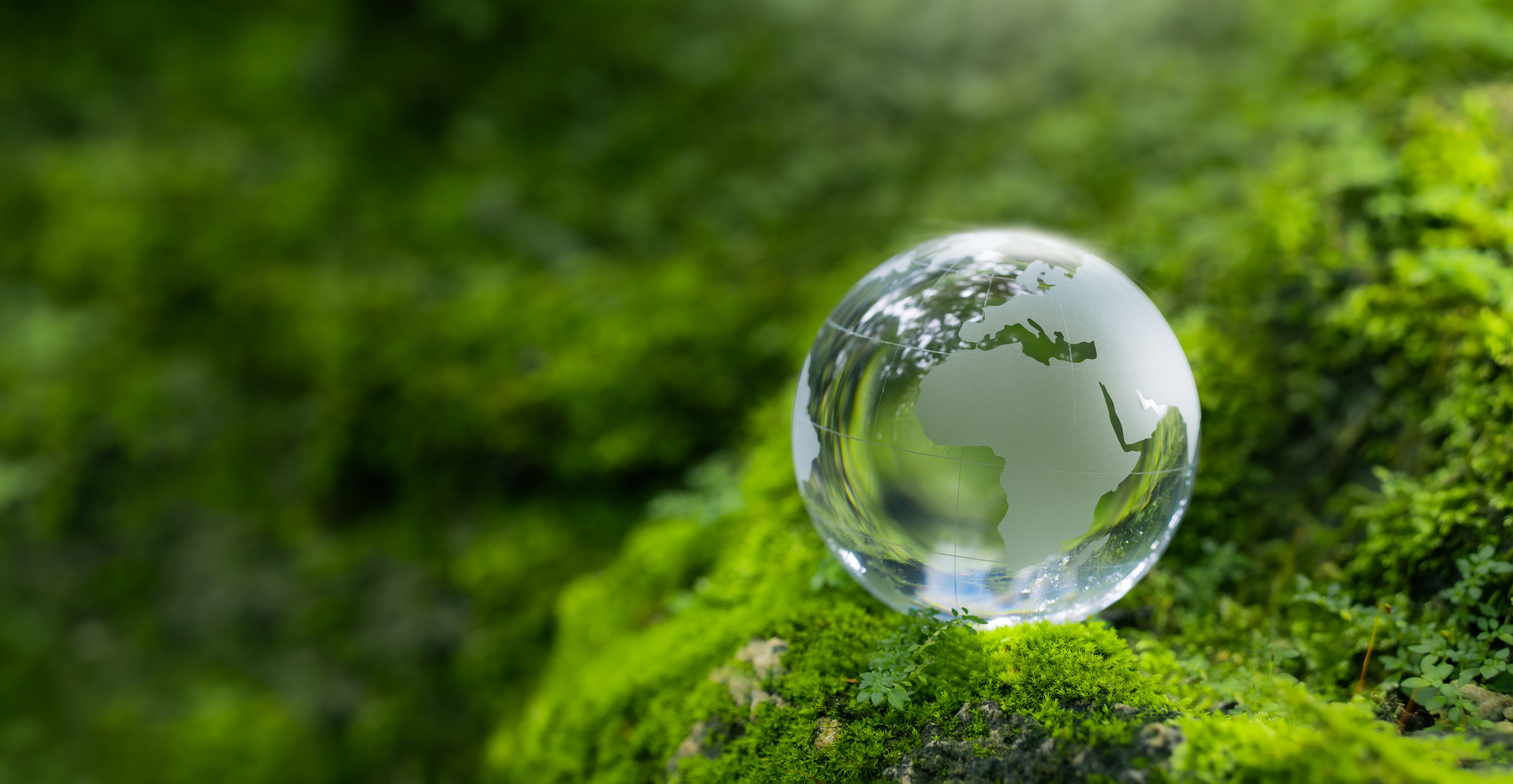 e-commerce challenges