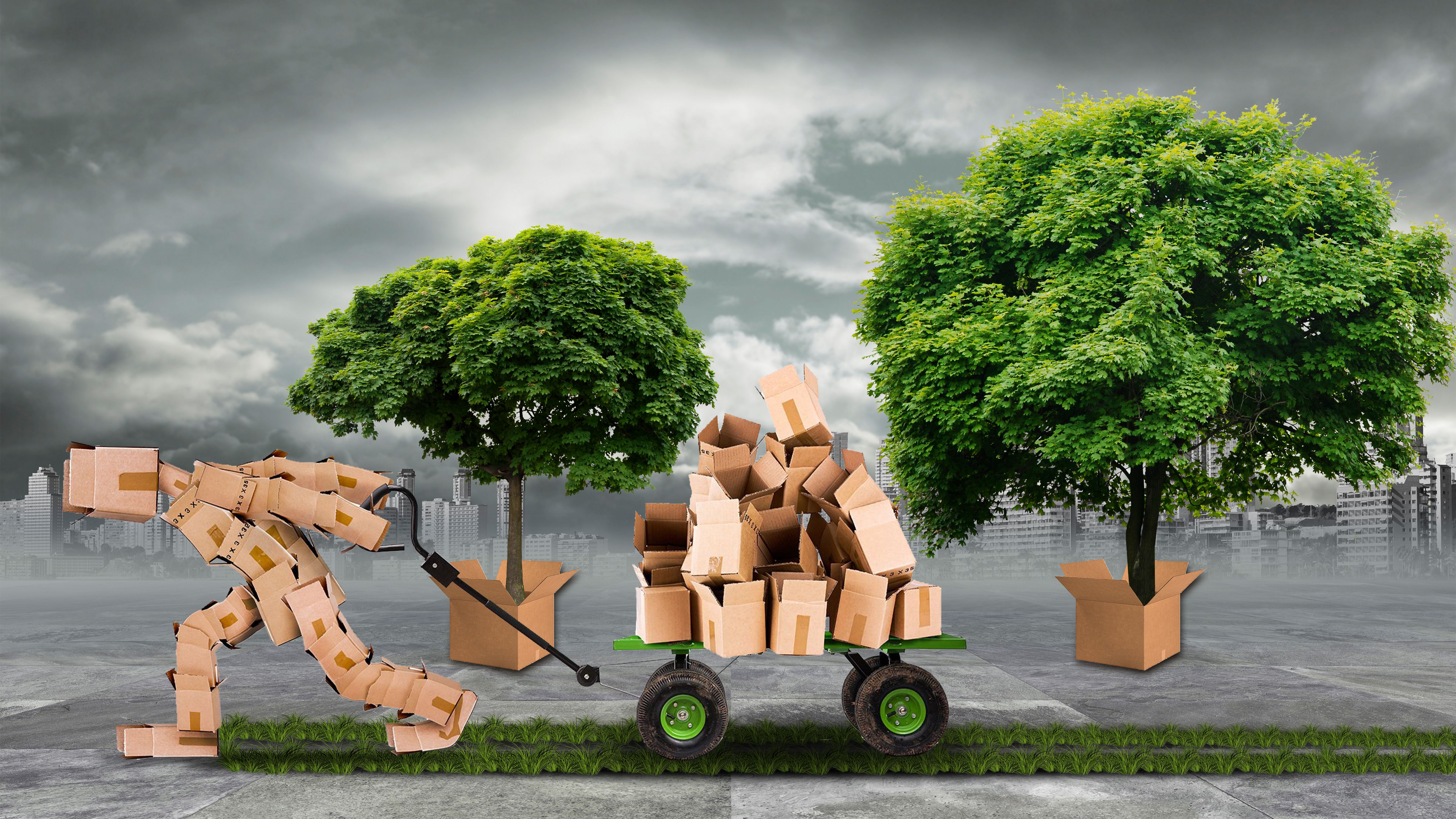 local resources moving