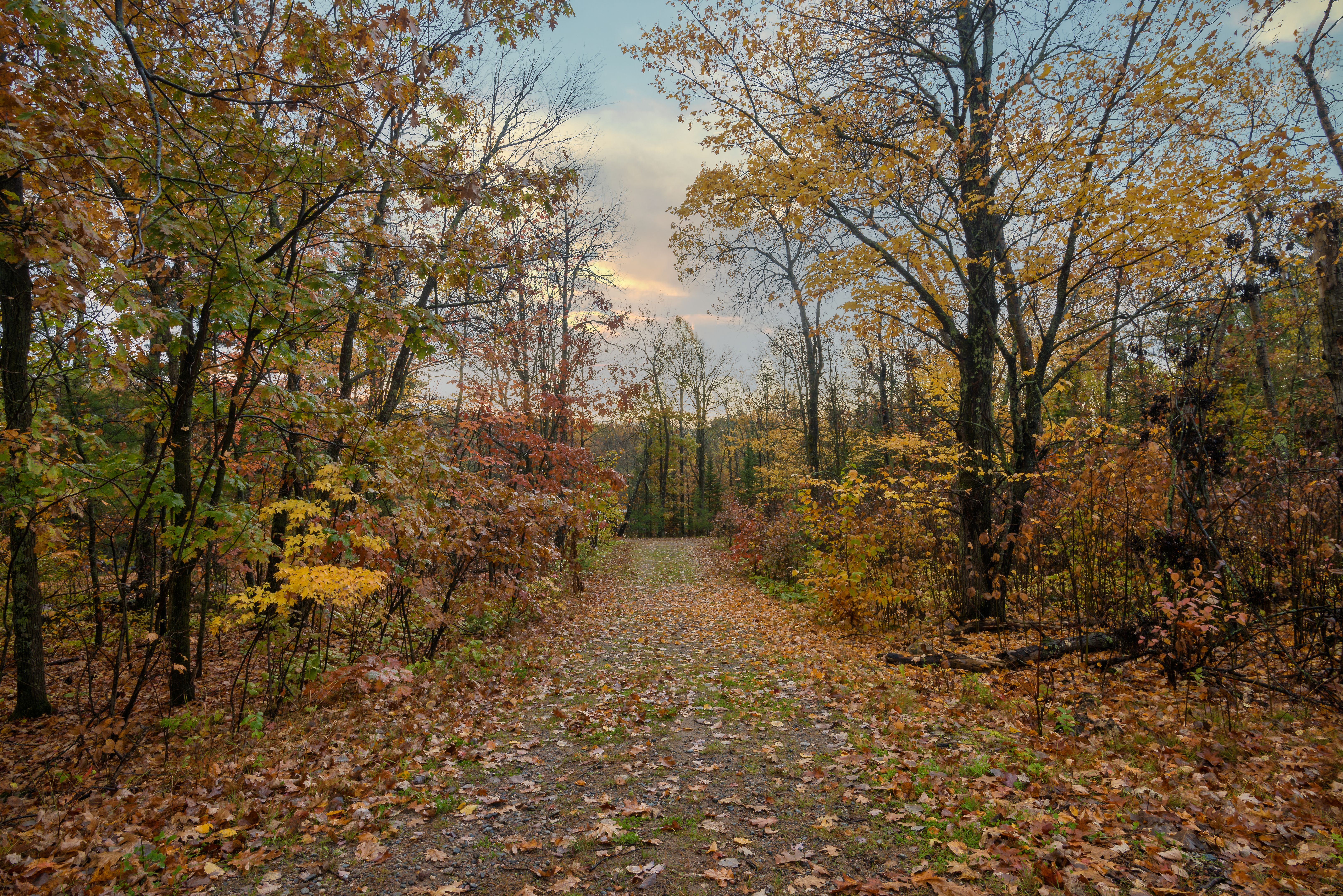 Forest Hills Grand Rapids