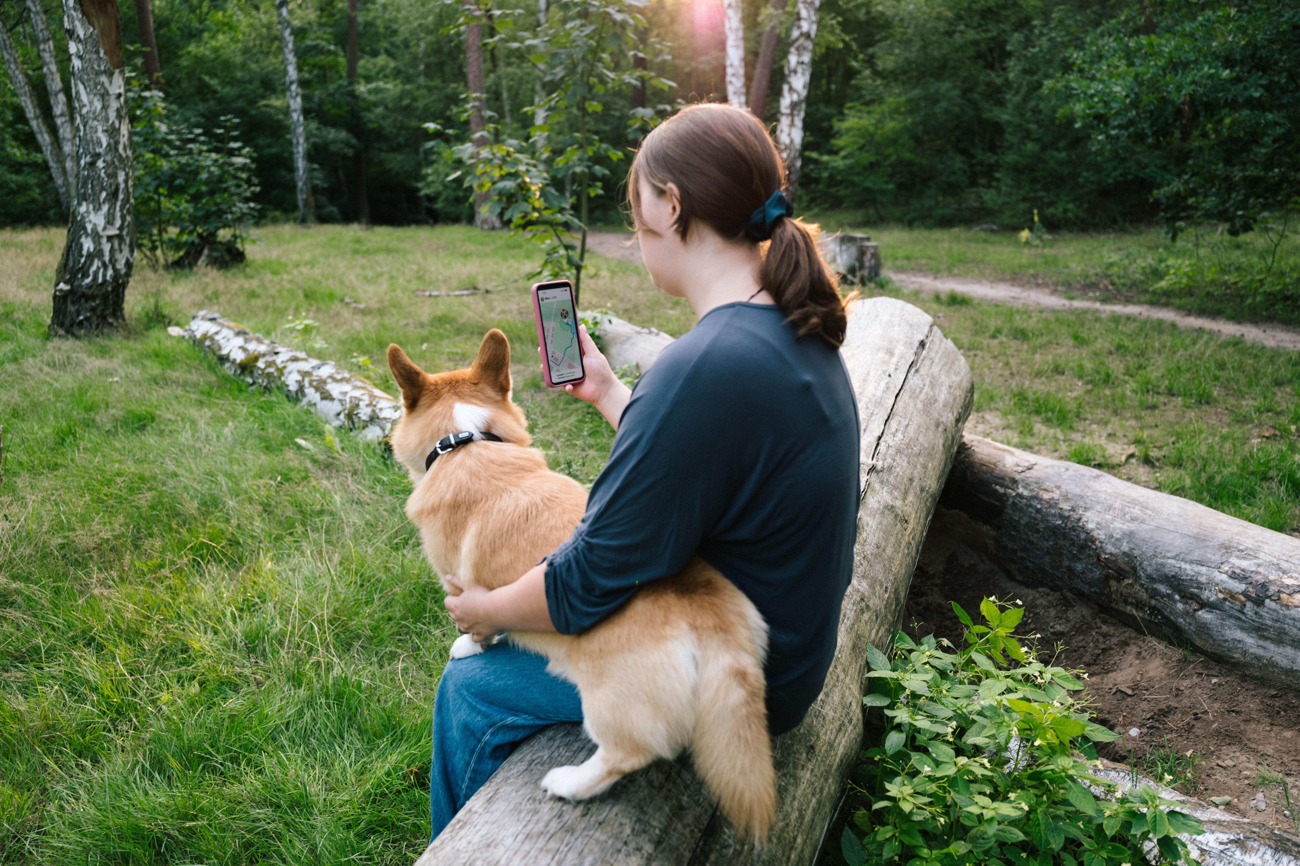 pet care app