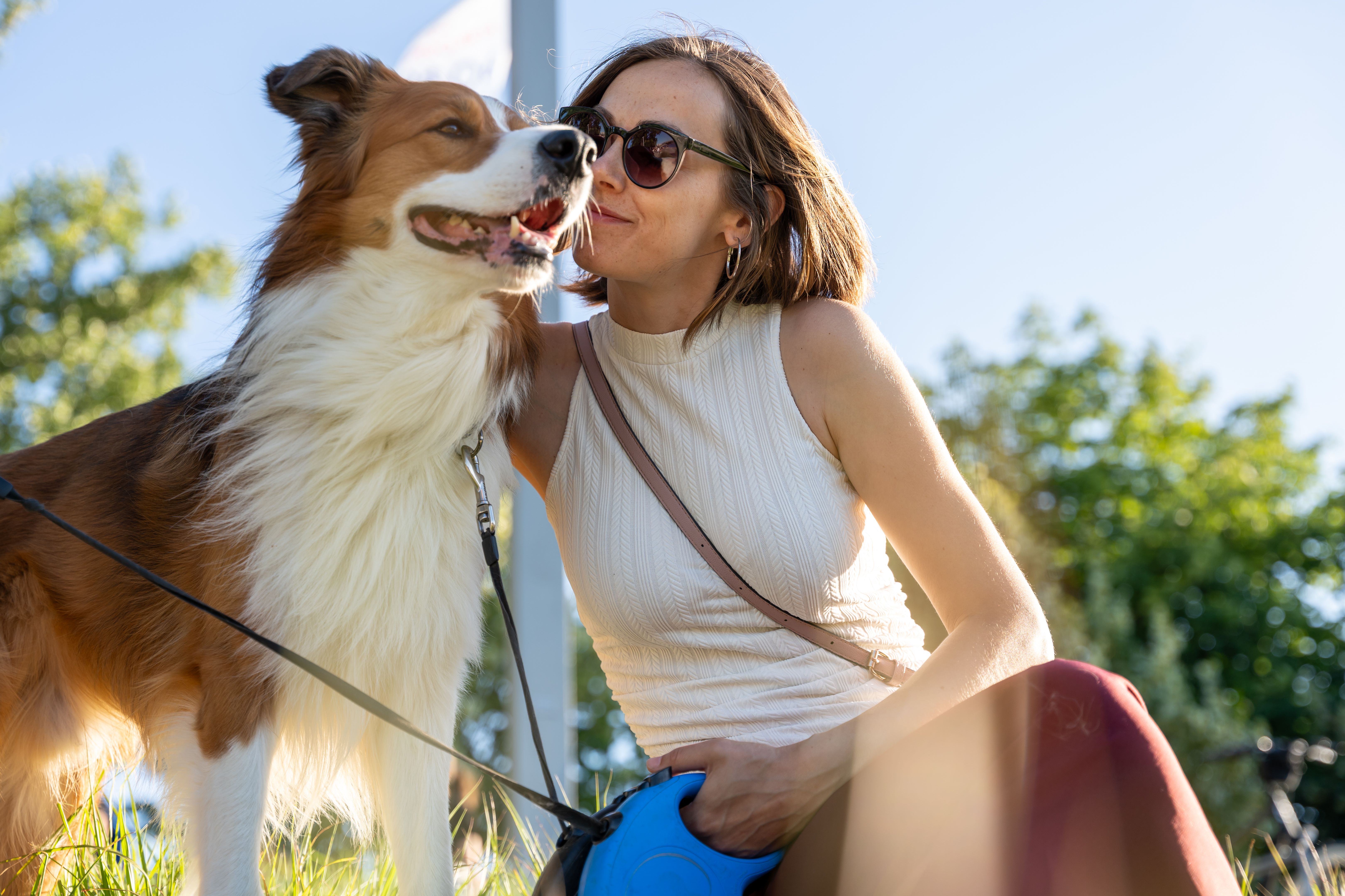 happy pet outdoors