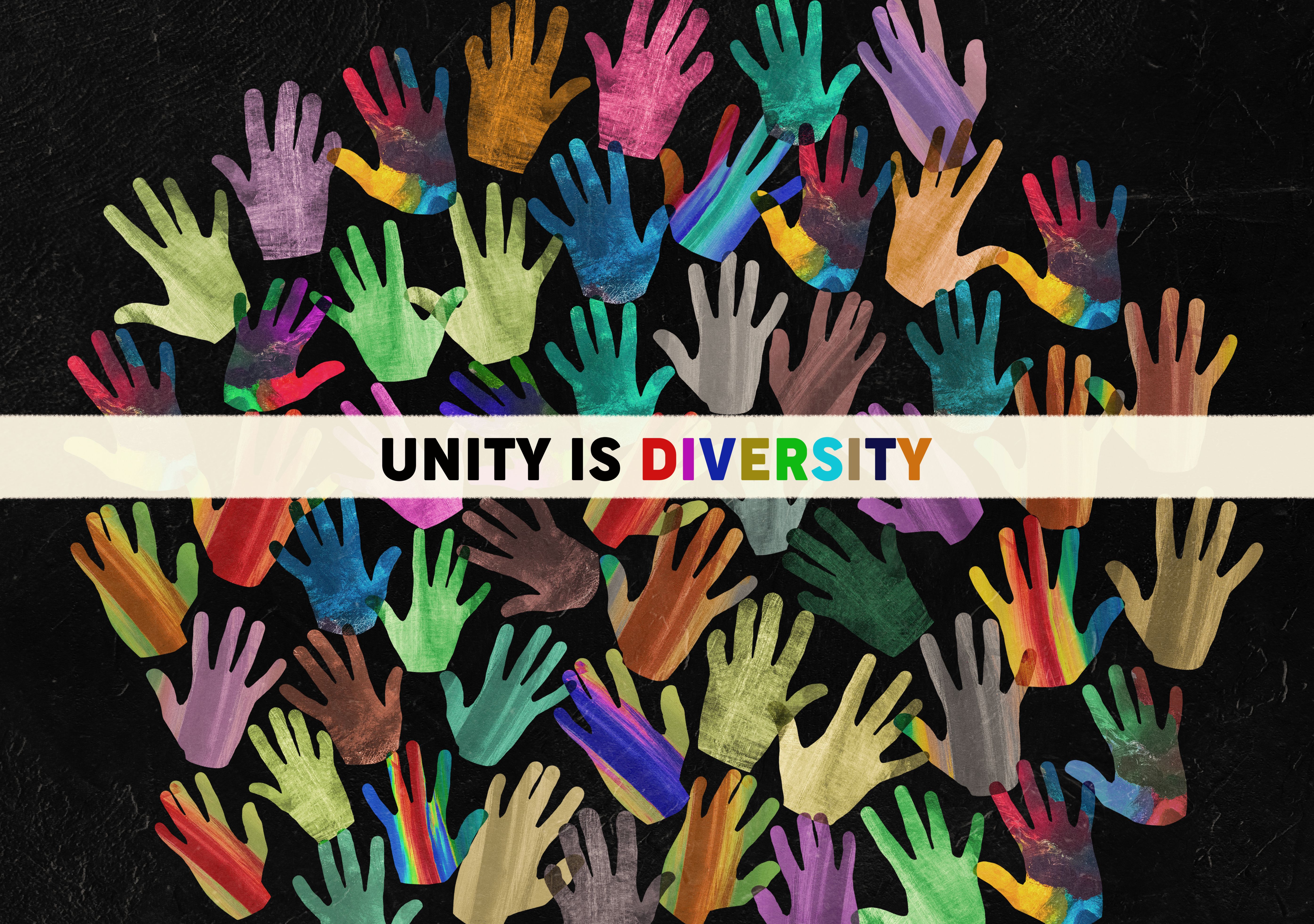 diversidad educativa